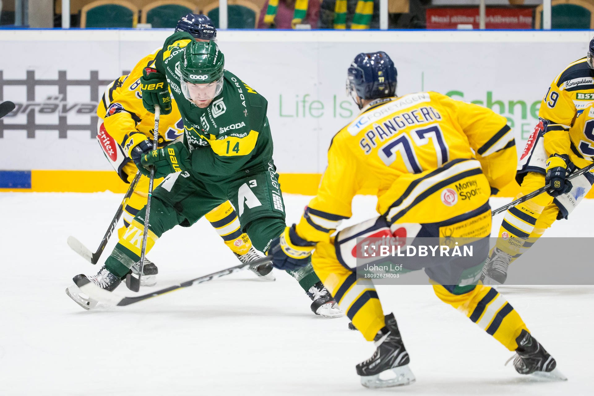 Björklövens Cody Murphy