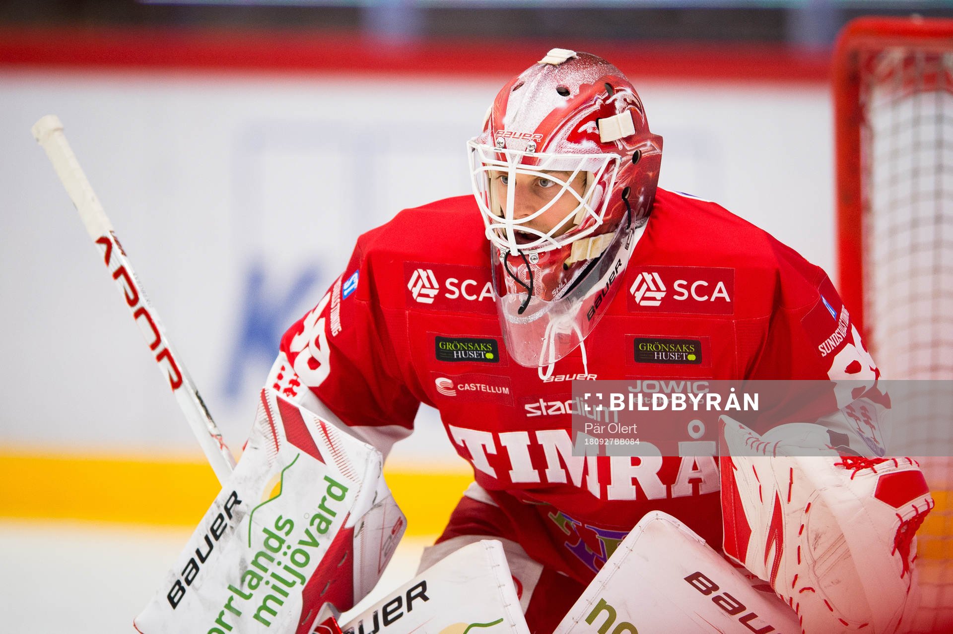 Timrås Niklas Svedberg
