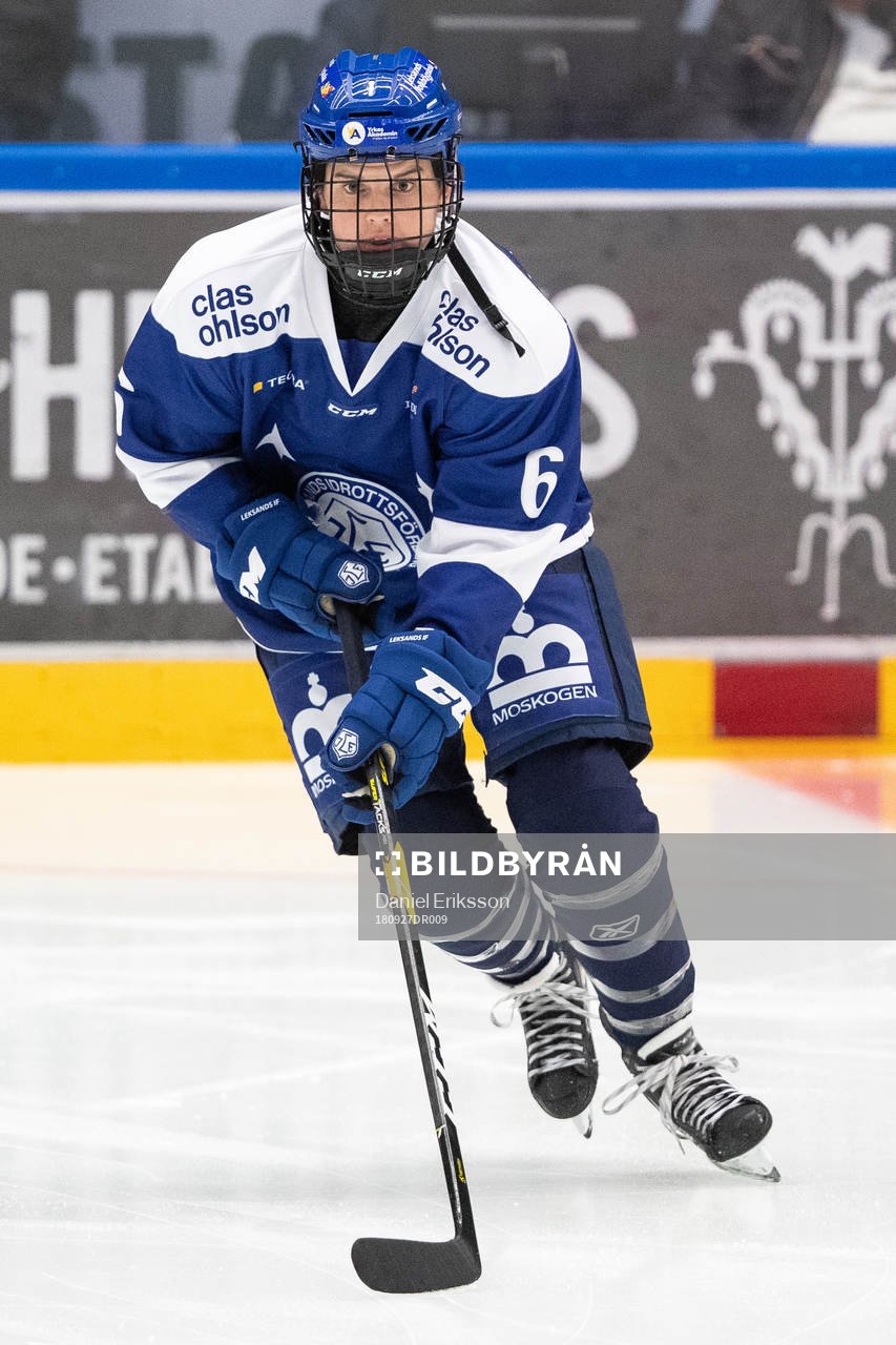 Leksands Gracen Hirschy
