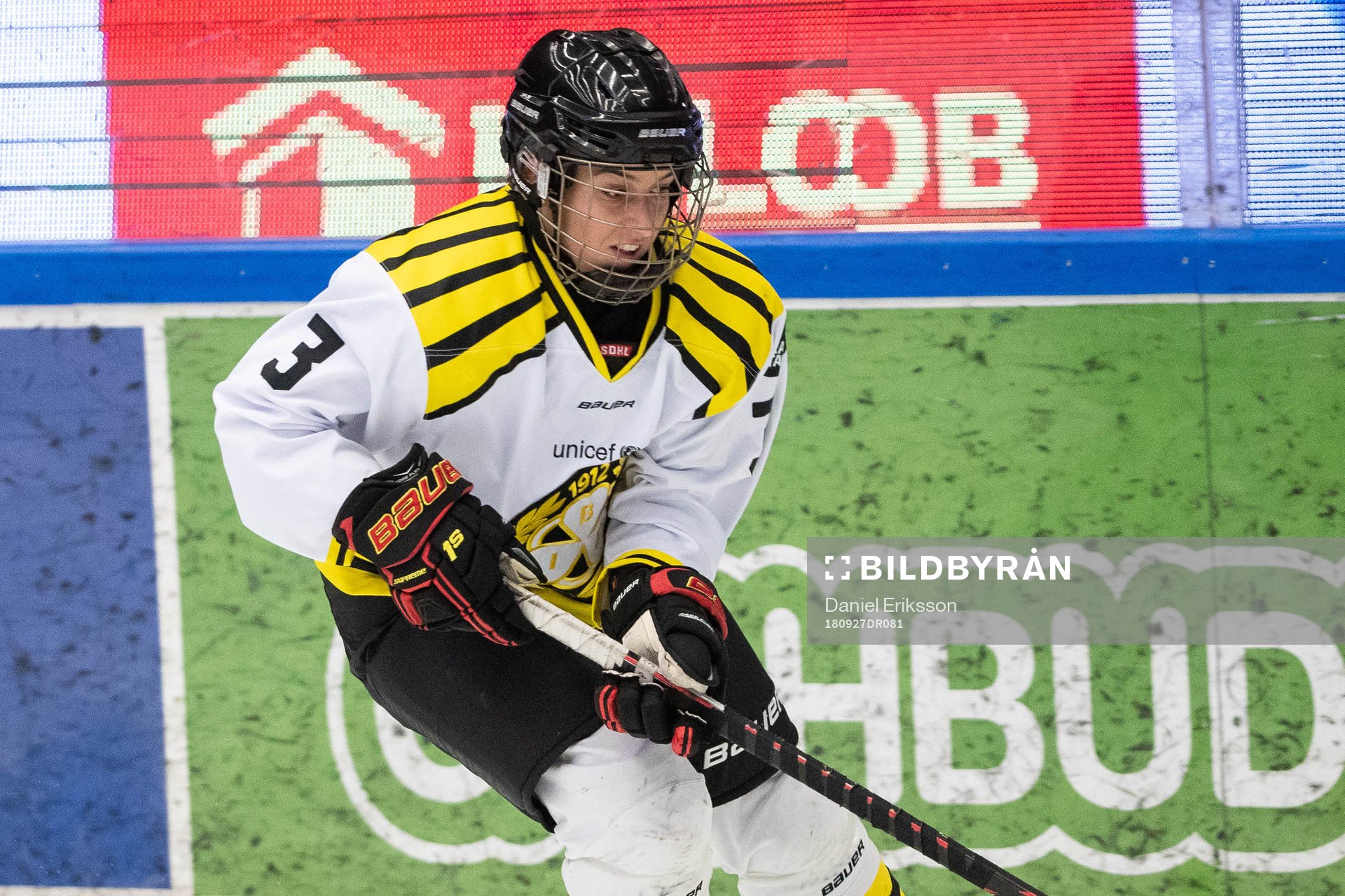 Brynäs Sarah Forster