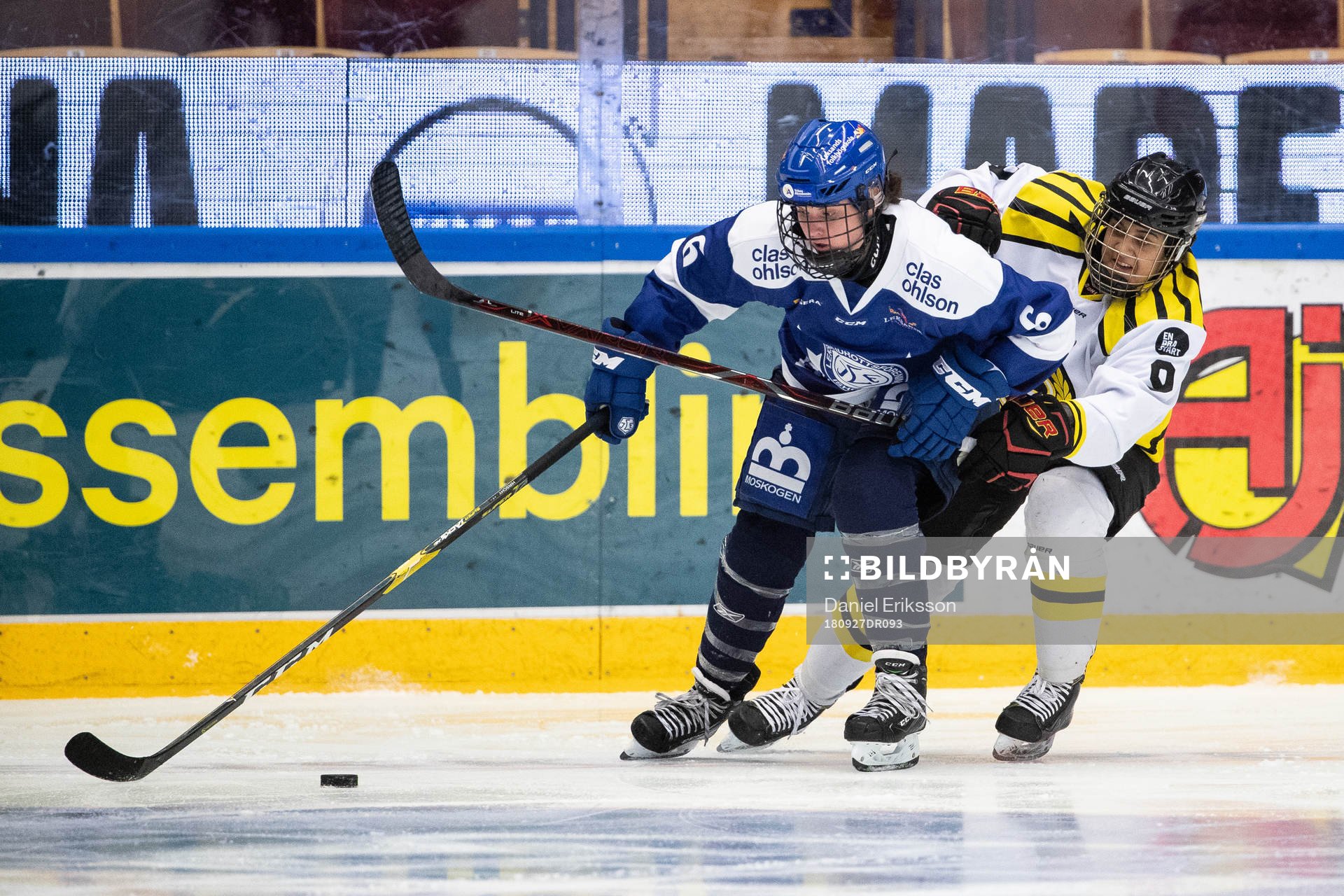 Leksands Gracen Hirschy och Brynäs Cassandra Vilgrain