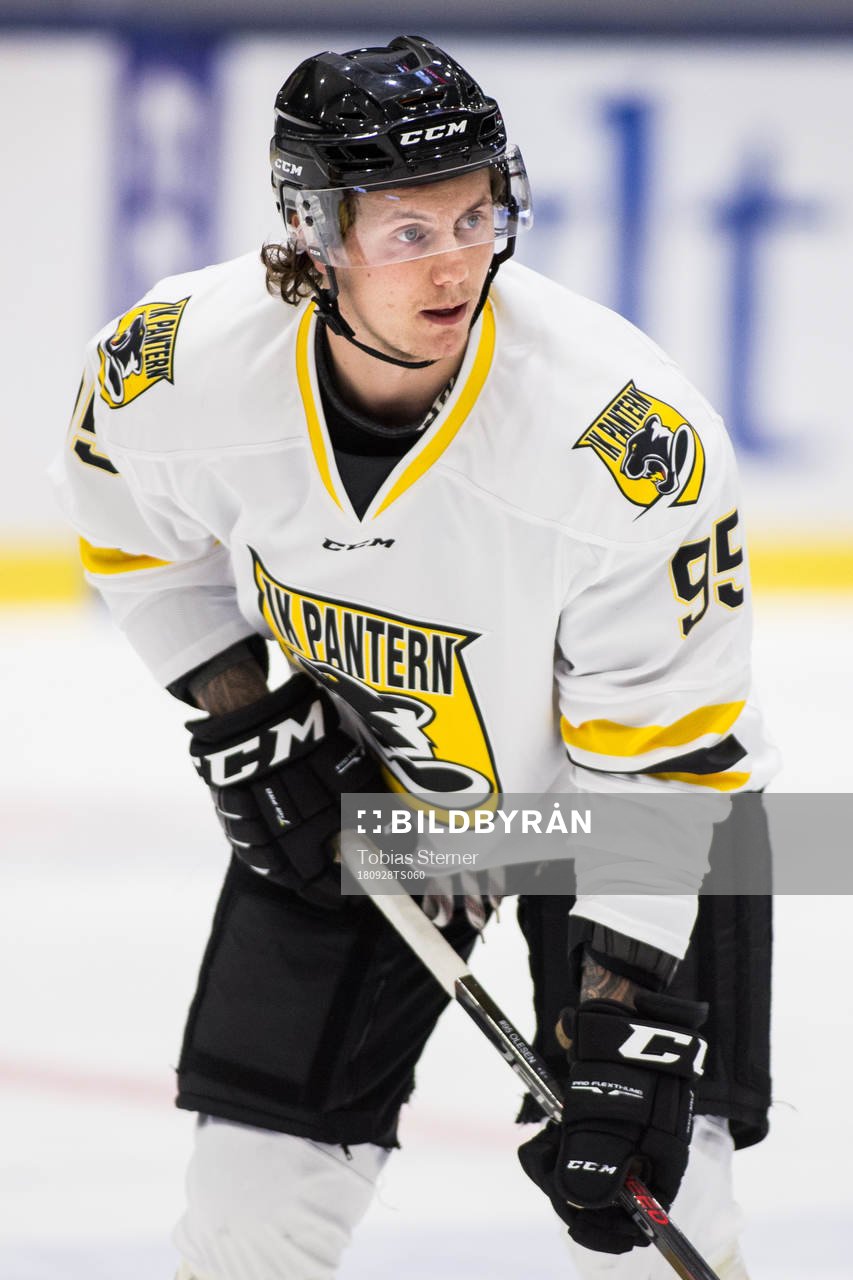 Panterns Nick Olesen