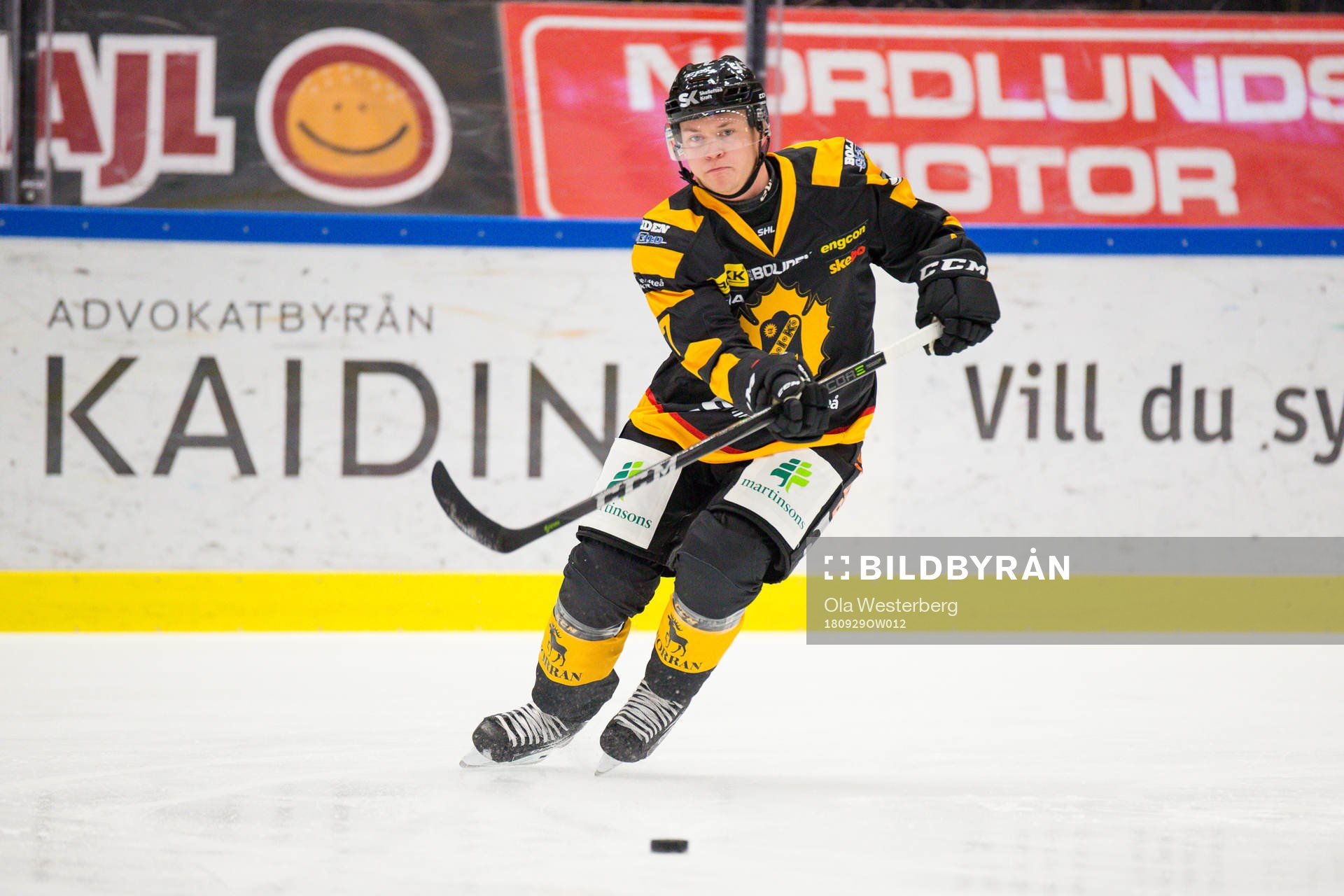 Skellefteås Felix Dahlroth