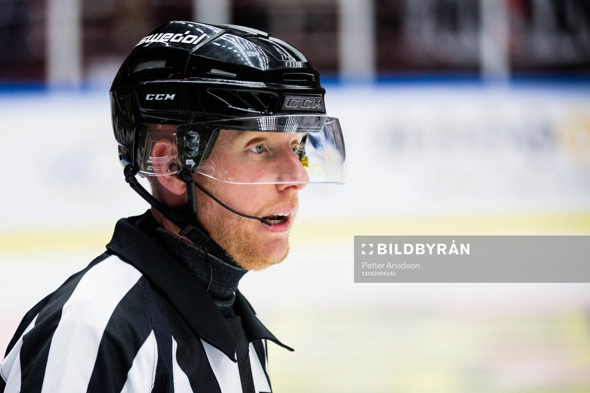 Domare Mikael Holm