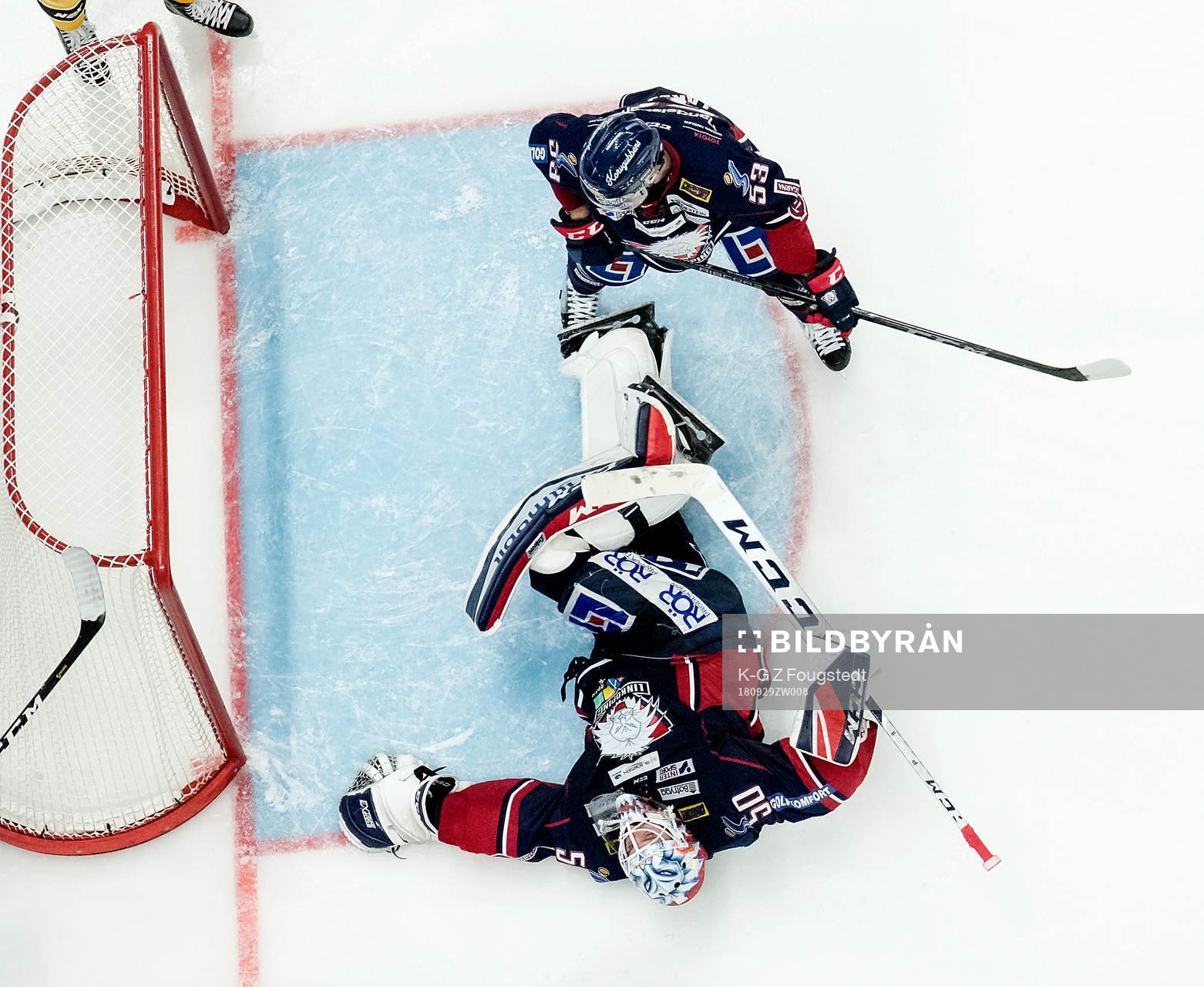 Linköping målvakt Jonas Gustavsson