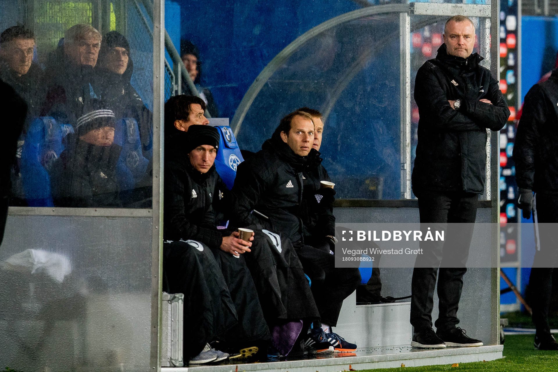 Rini Coolen, head coach of Rosenborg
