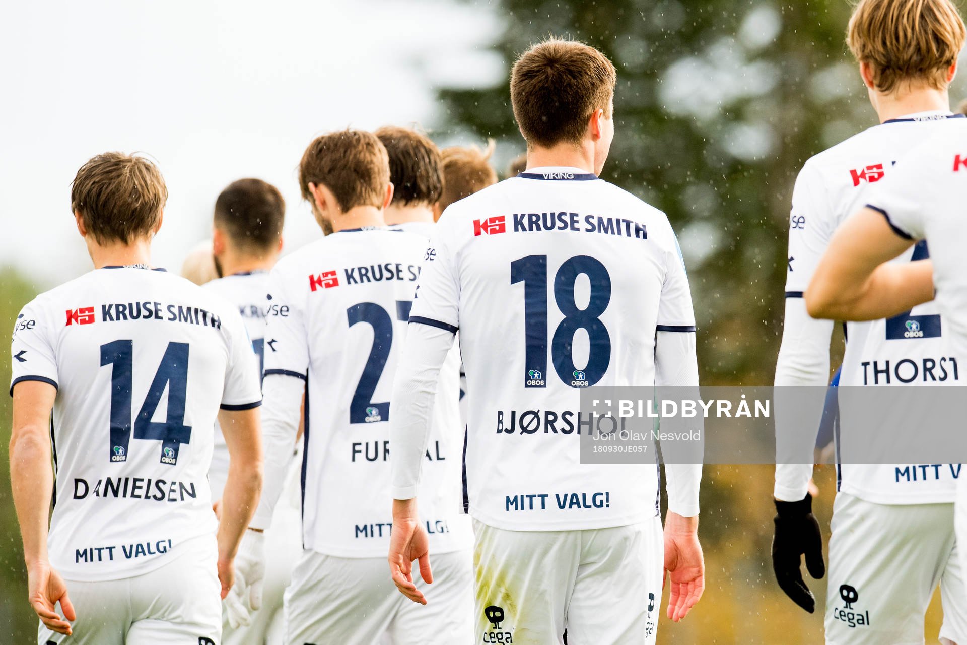 The players of Viking