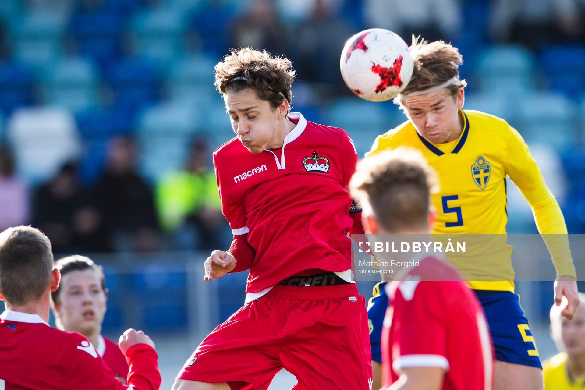 Sveriges Niclas Bergmark nickar