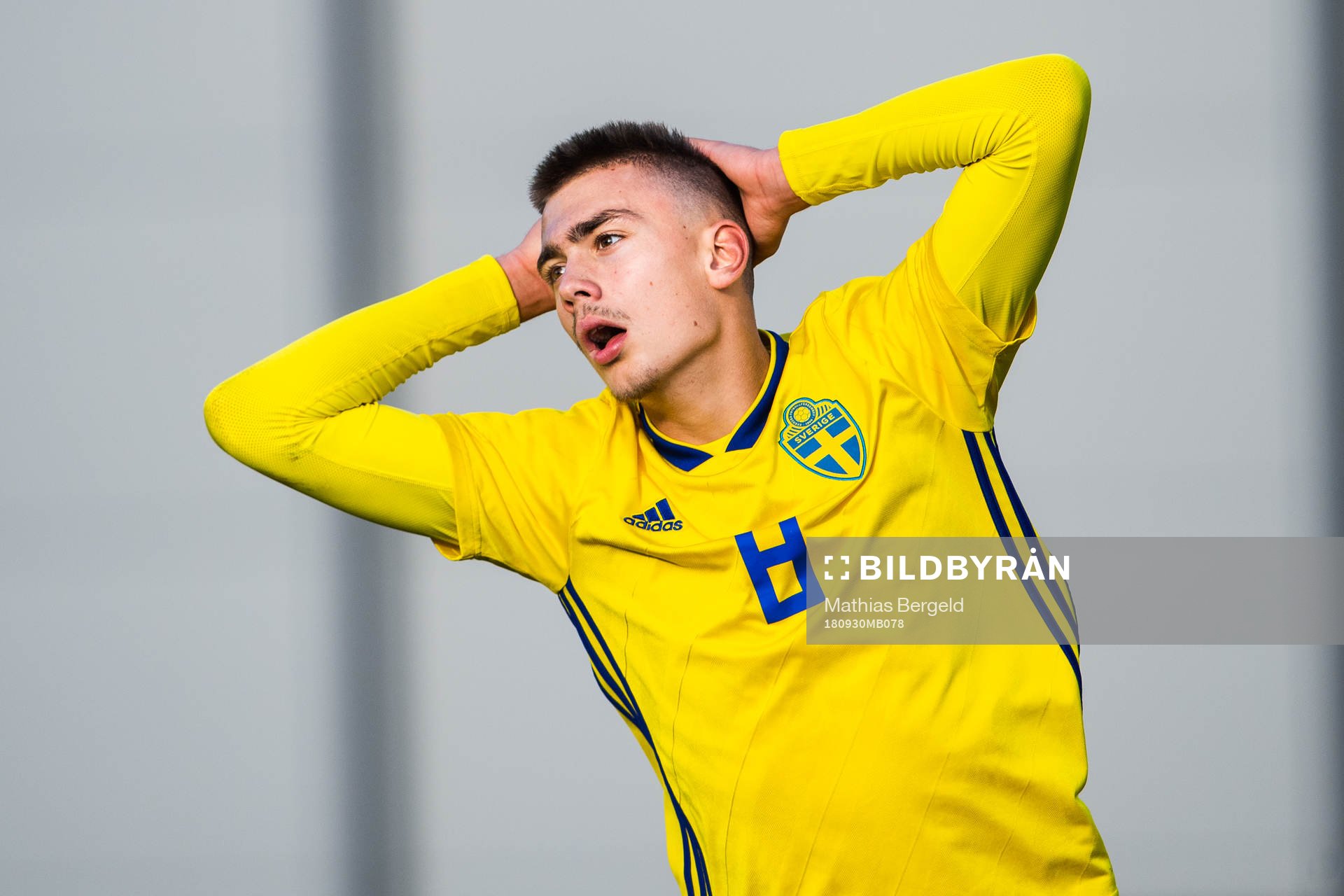 Sveriges Tim Prica deppar