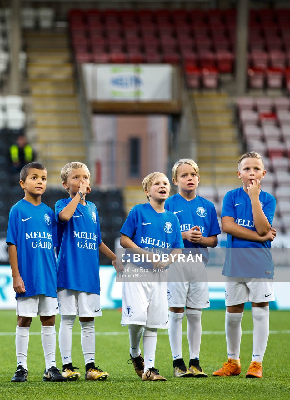 Trelleborgs knattar
