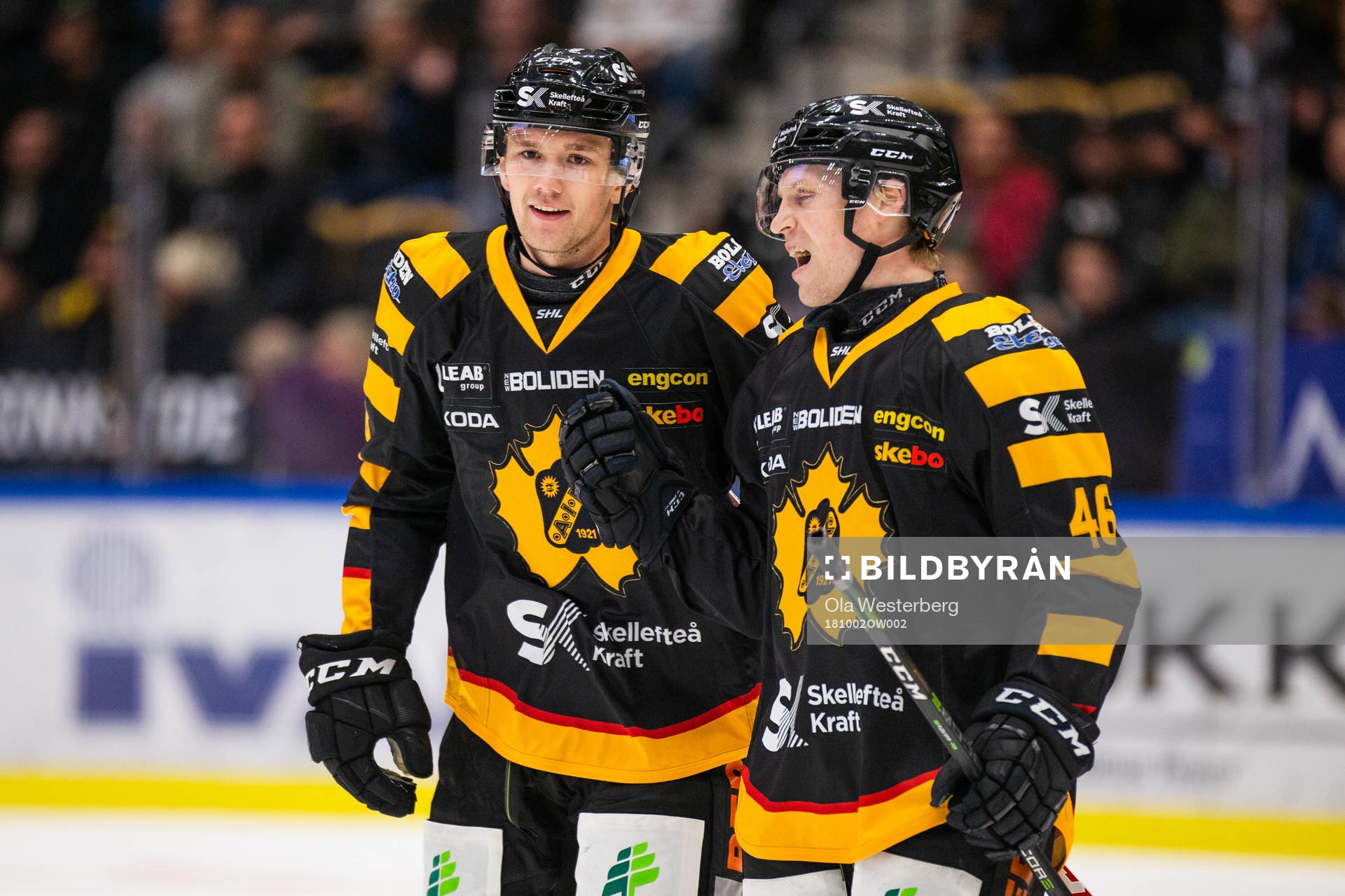 Skellefteås Filip Berglund och Mathis Olimb jublar