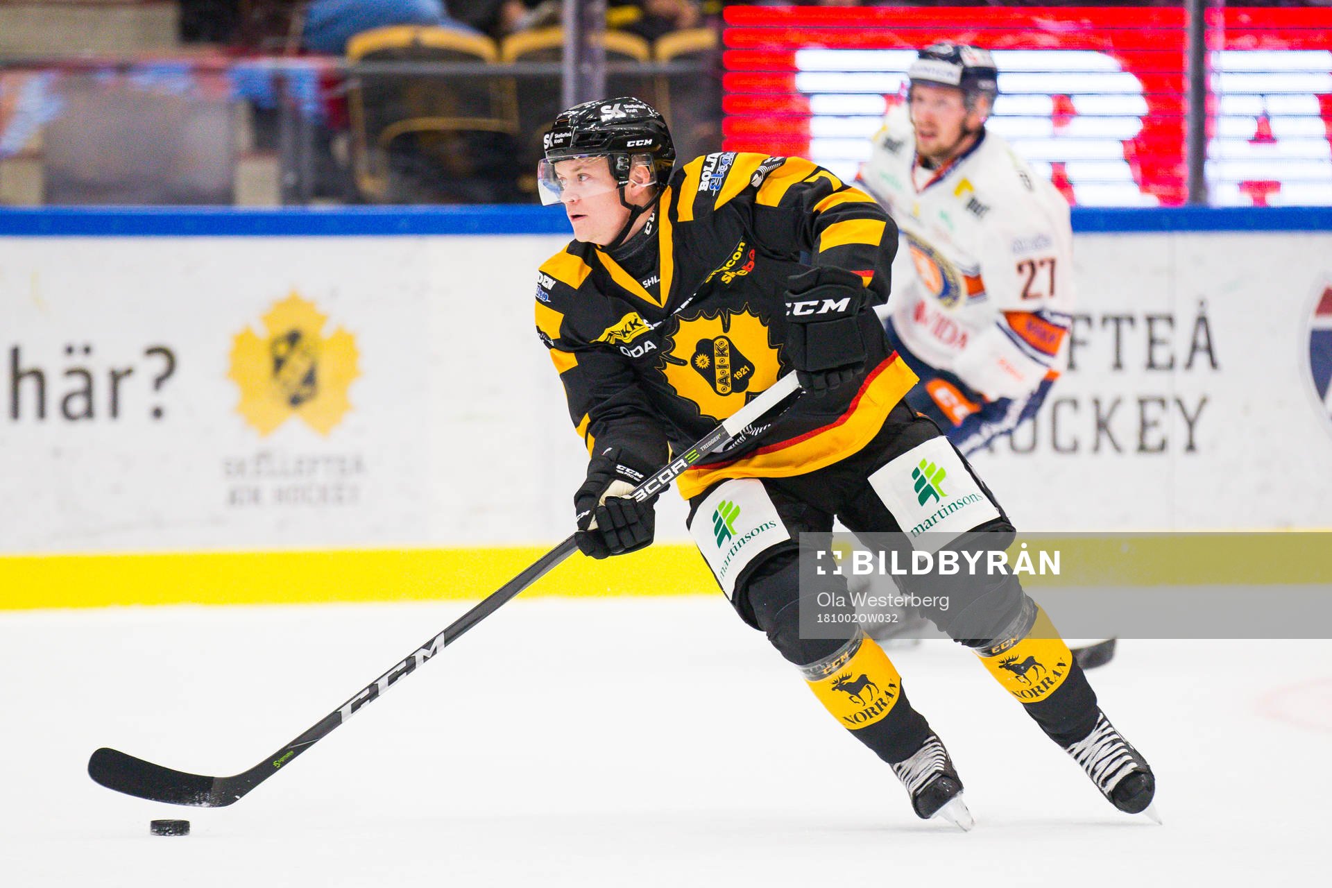 Skellefteås Felix Dahlroth