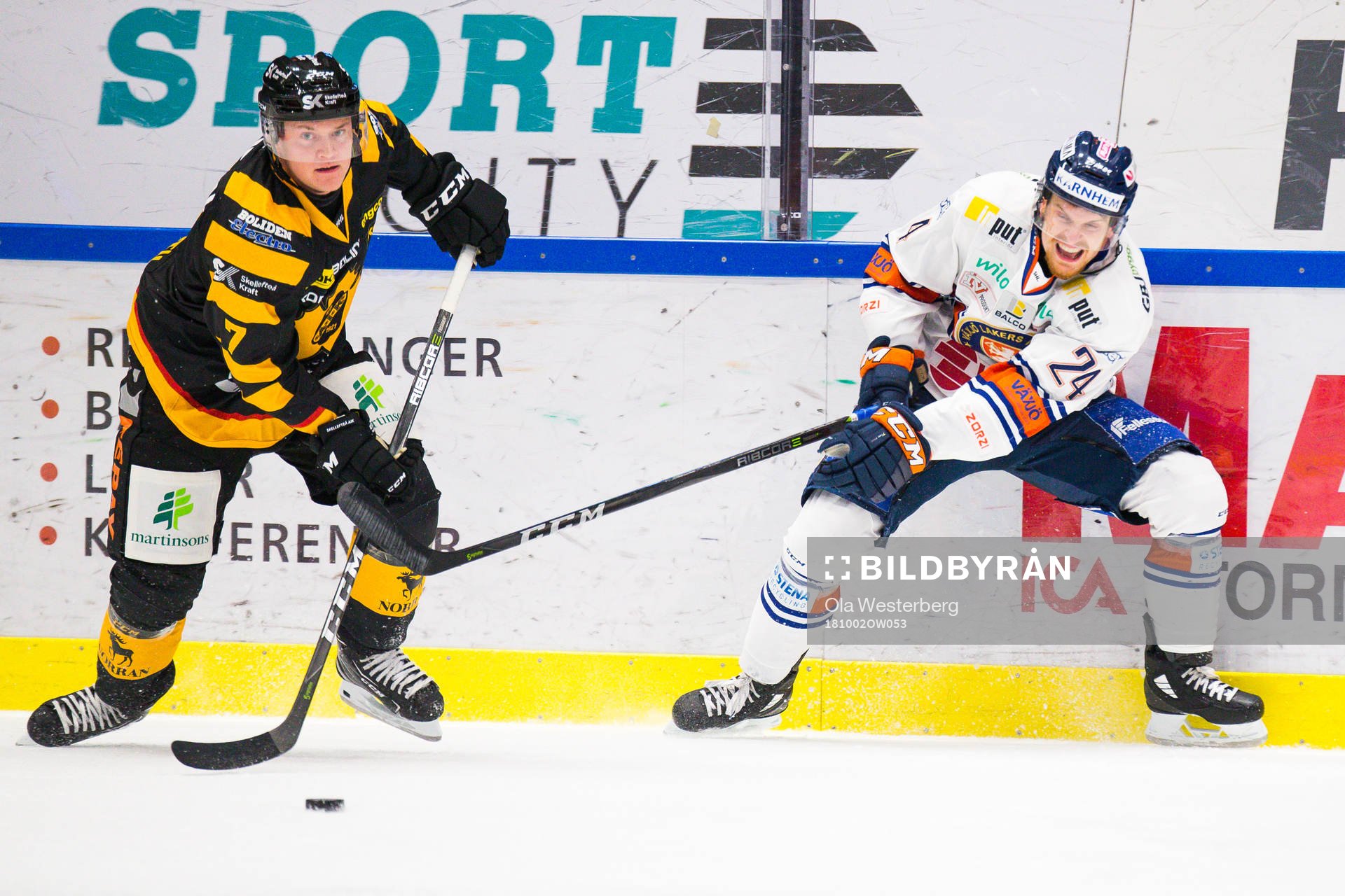 Skellefteås Felix Dahlroth
