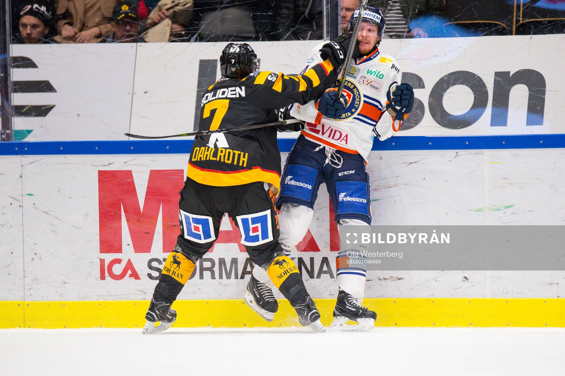 Skellefteås Felix Dahlroth