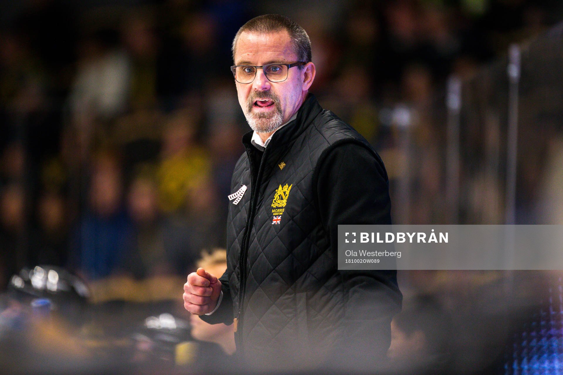 Skellefteås tränare Tommy Samuelsson