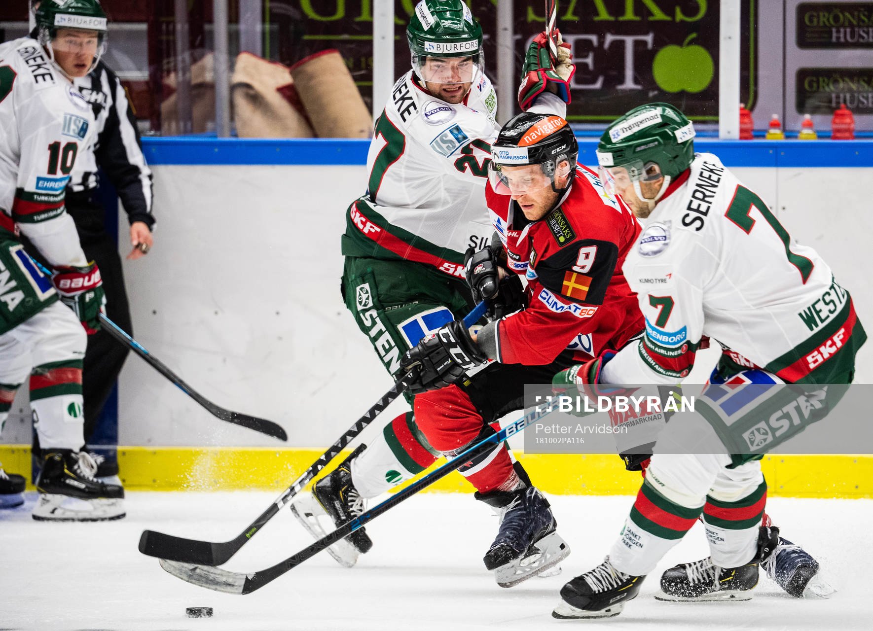 Malmö Redhawks Frederik Storm