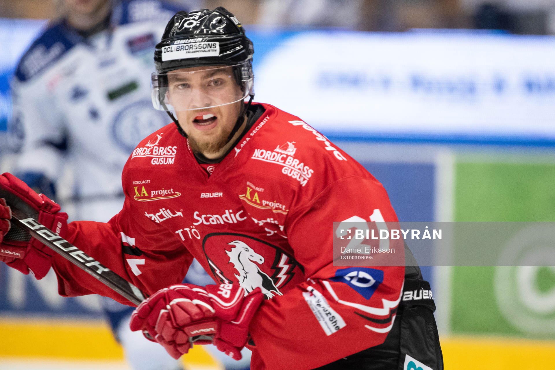 Vita Hästens Kevin Elgestål