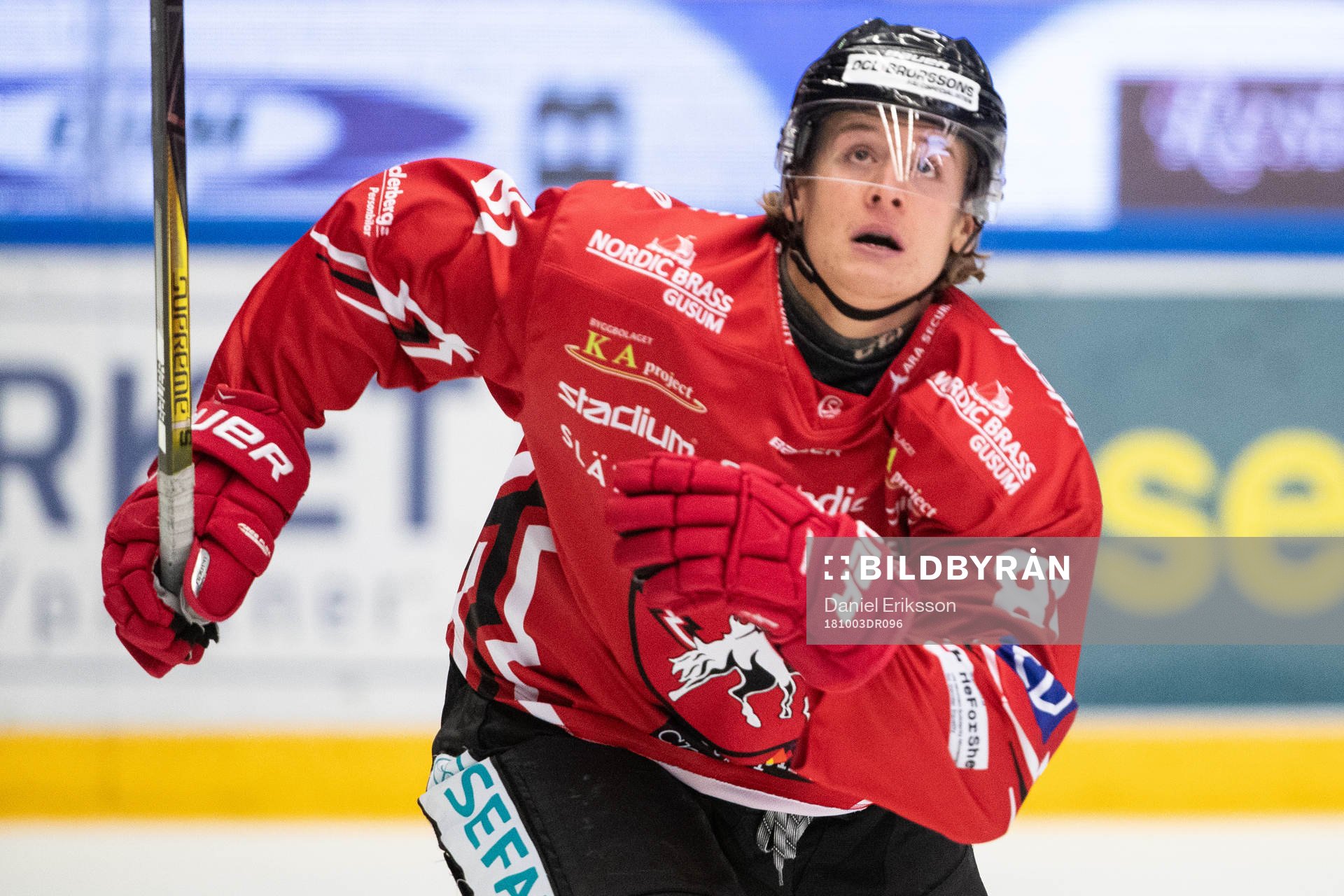 Vita Hästens Erik Borg