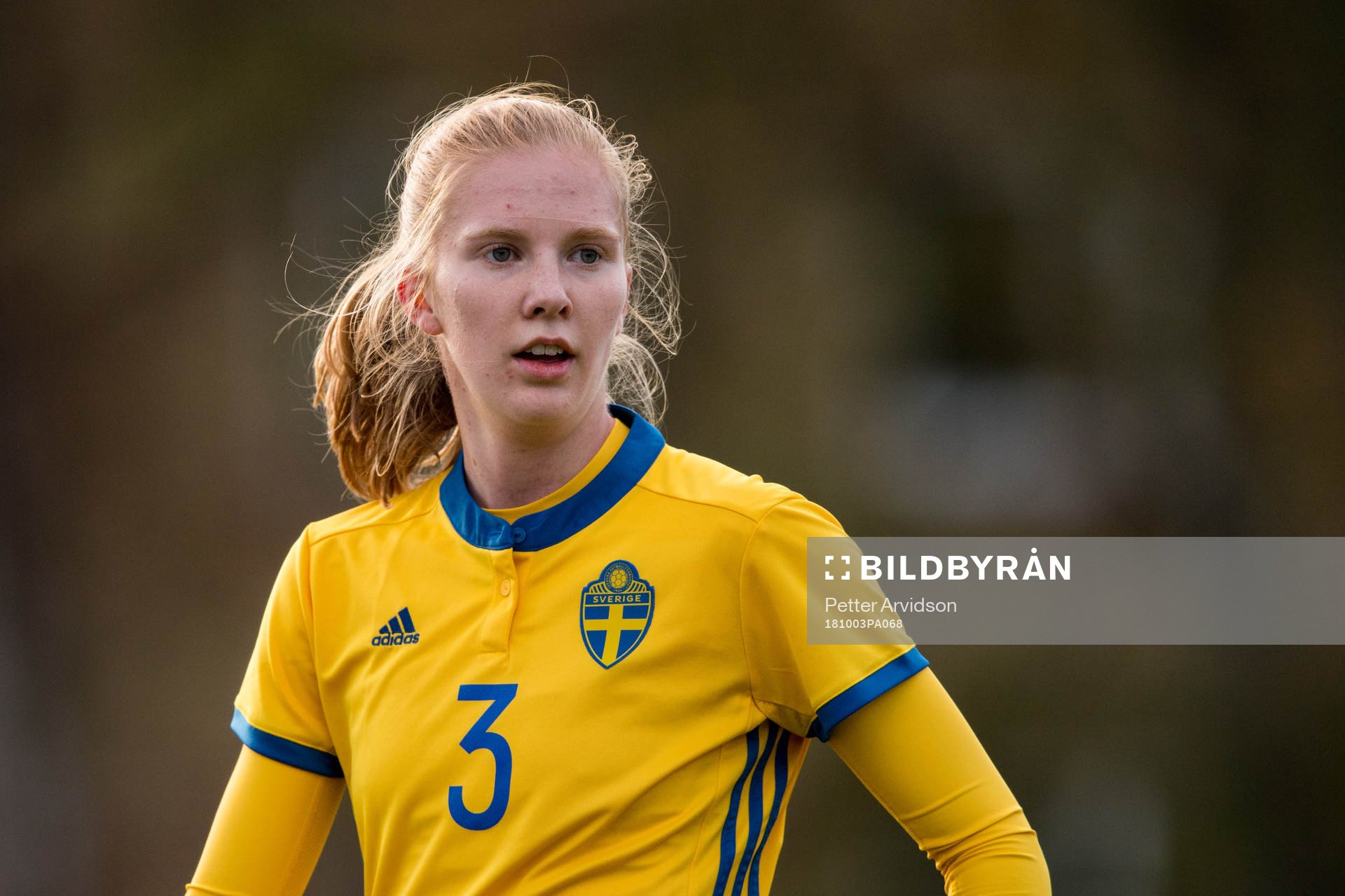 Sveriges Linn Bogren