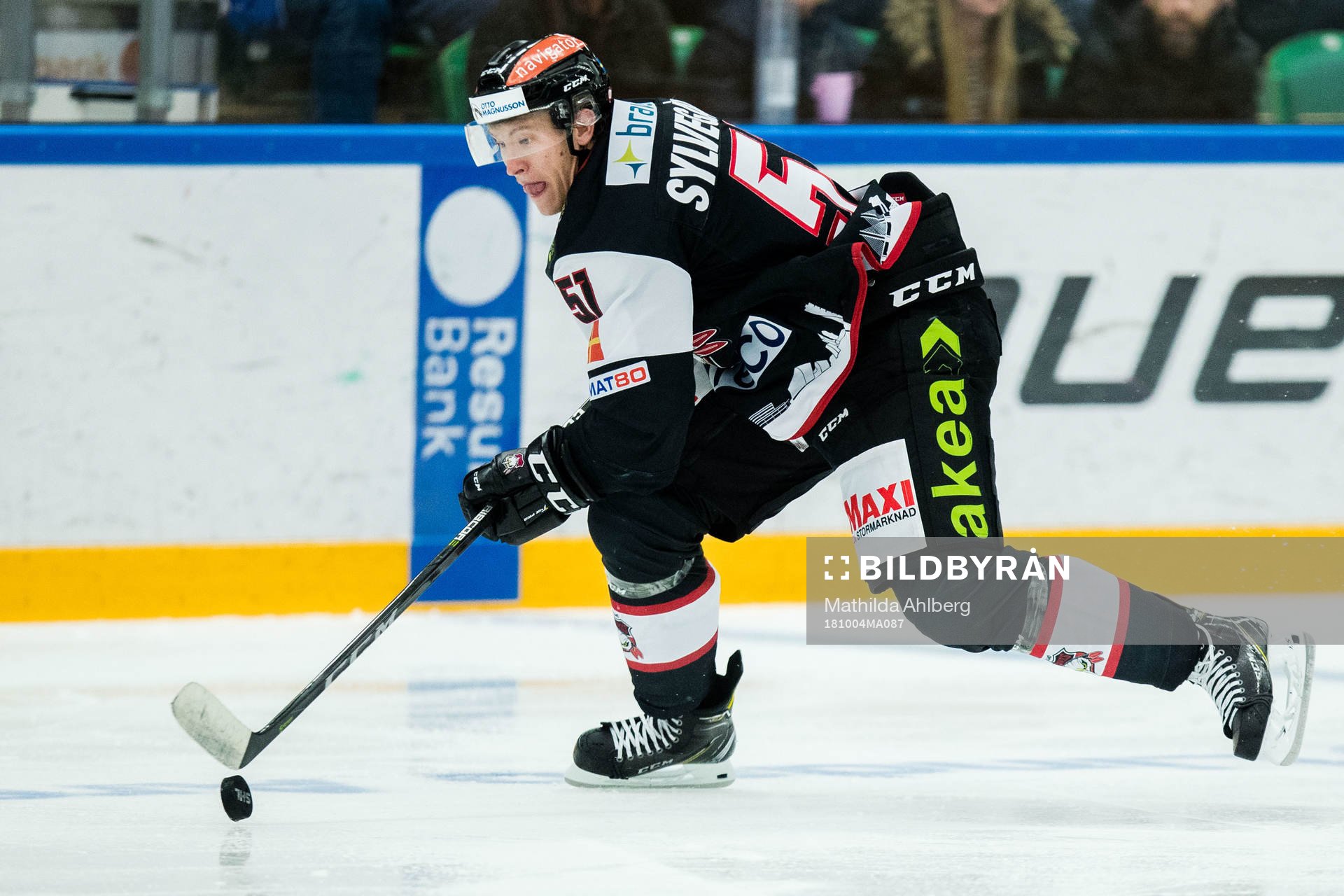 Malmö Redhawks Emil Sylvegård