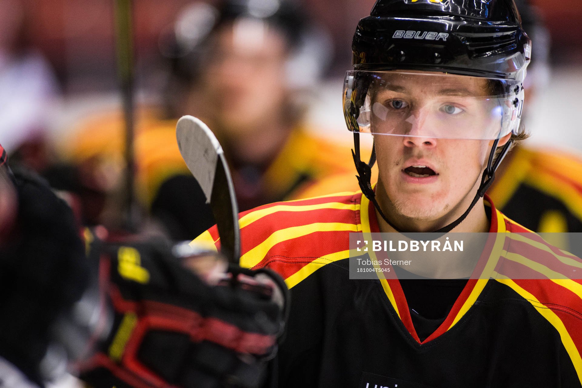 Brynäs Jesper Boqvist jublar