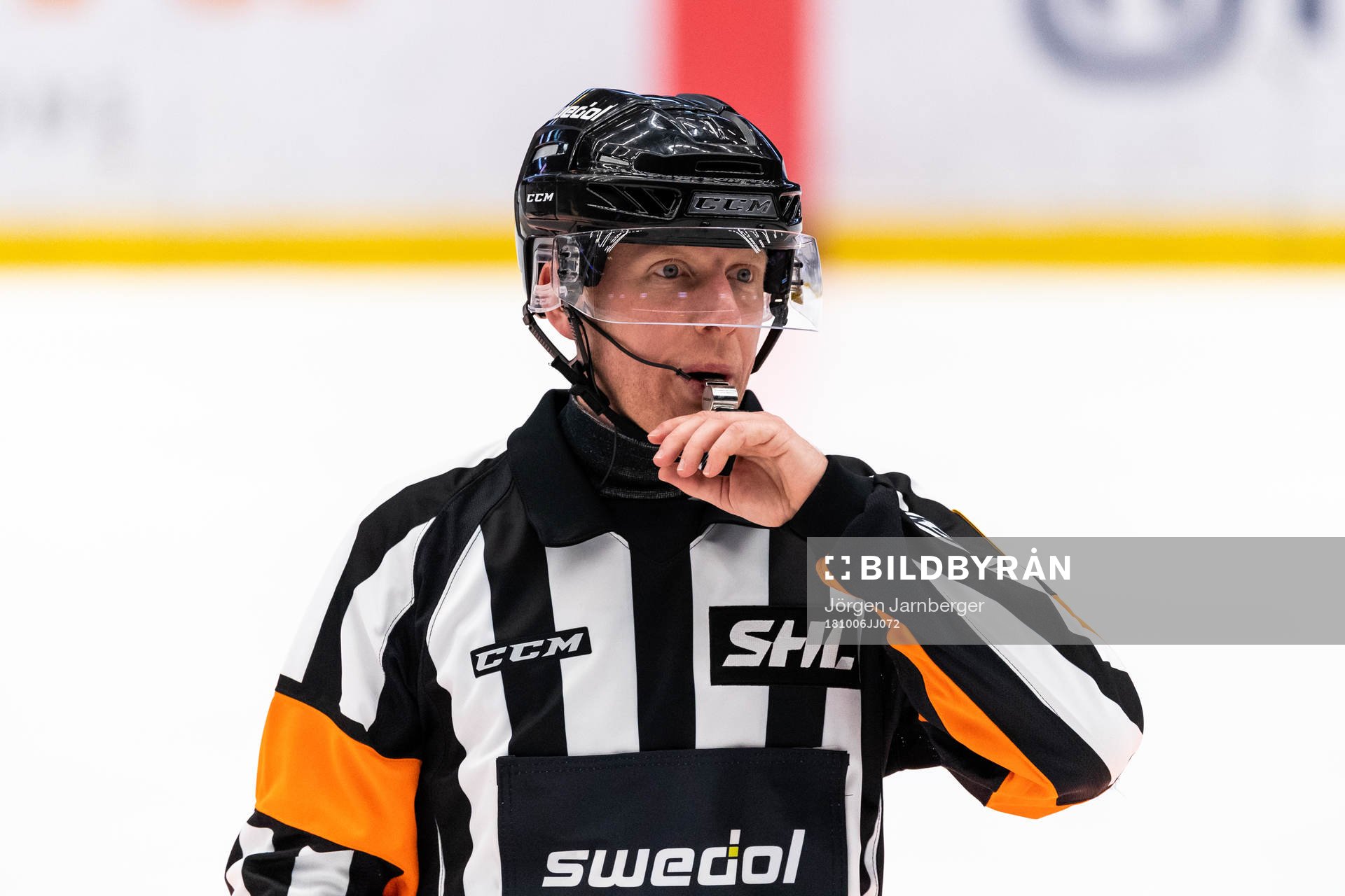 Domare med visselpipa