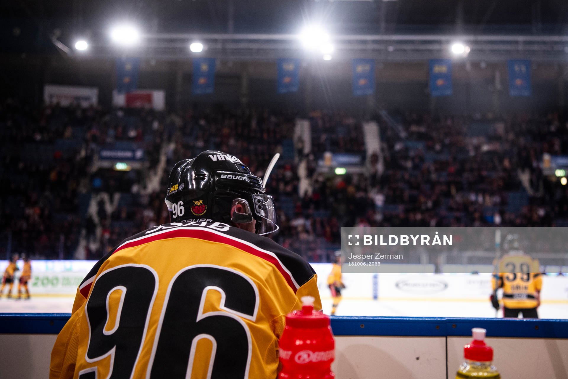 Luleås Robin Kovacs spejar ut över isen från båset