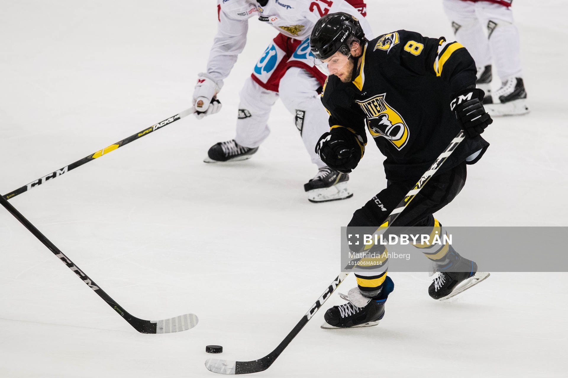 Panterns Tony Pappila