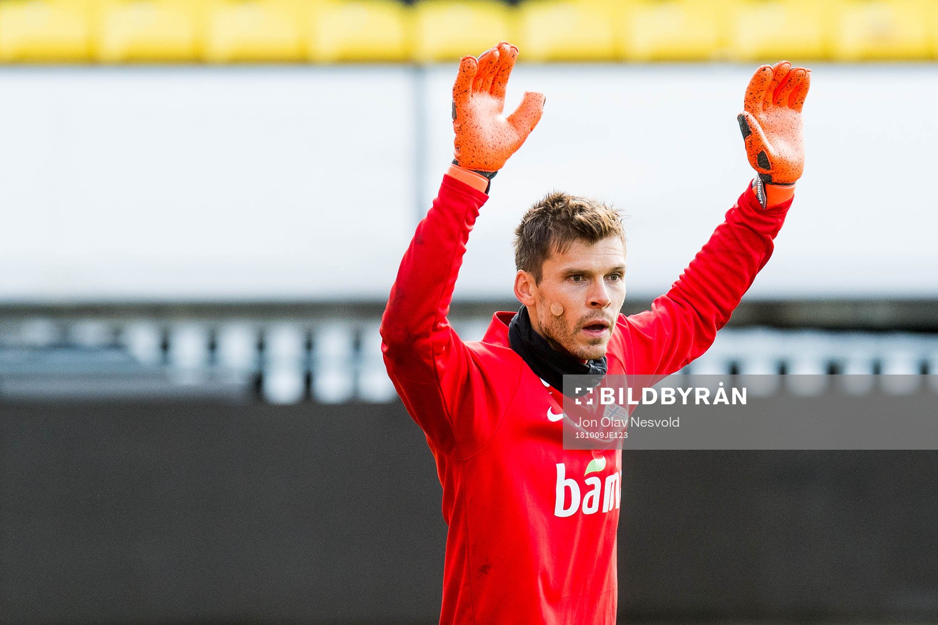 Goalkeeper Rune Almenning Jarstein of Norway