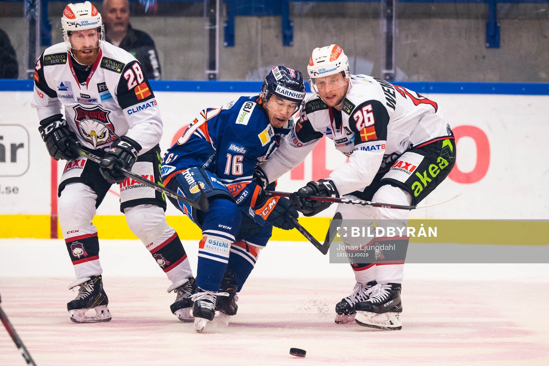 Växjös Austin Ortega och Malmö Redhawks Axel Wemmenborn