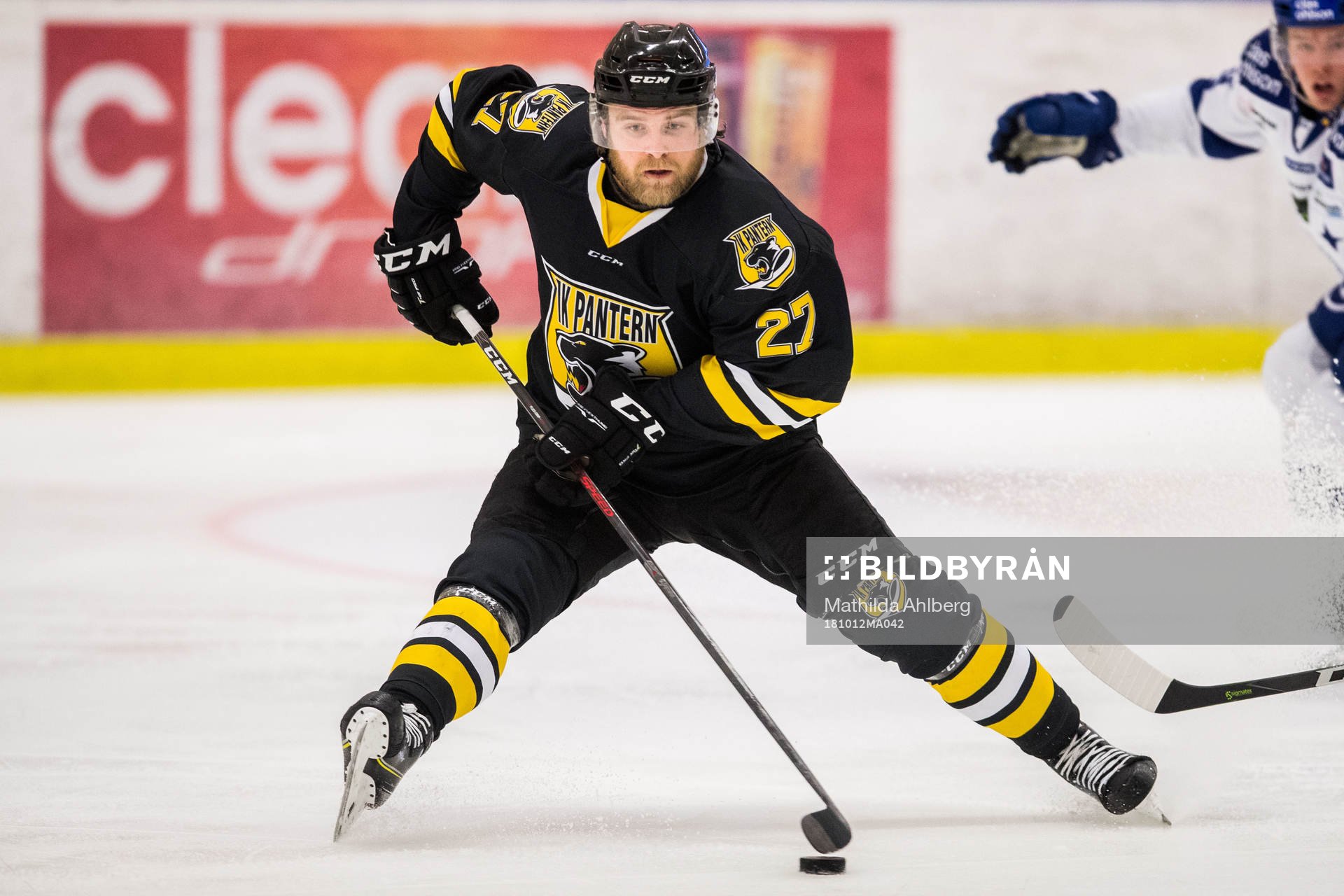 Panterns Alexander Pettersson