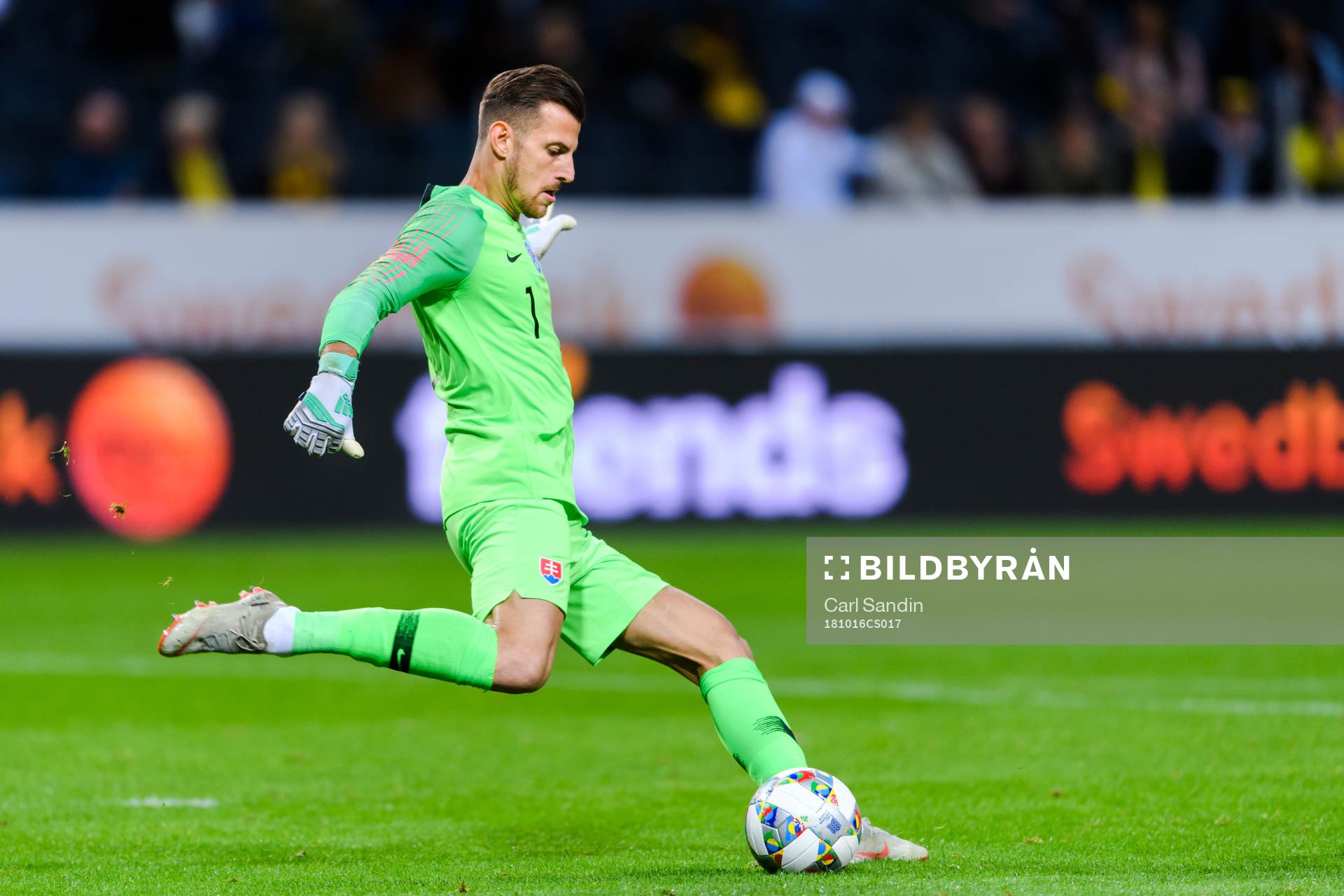 Goalkeeper Martin Dubravka of Slovakia