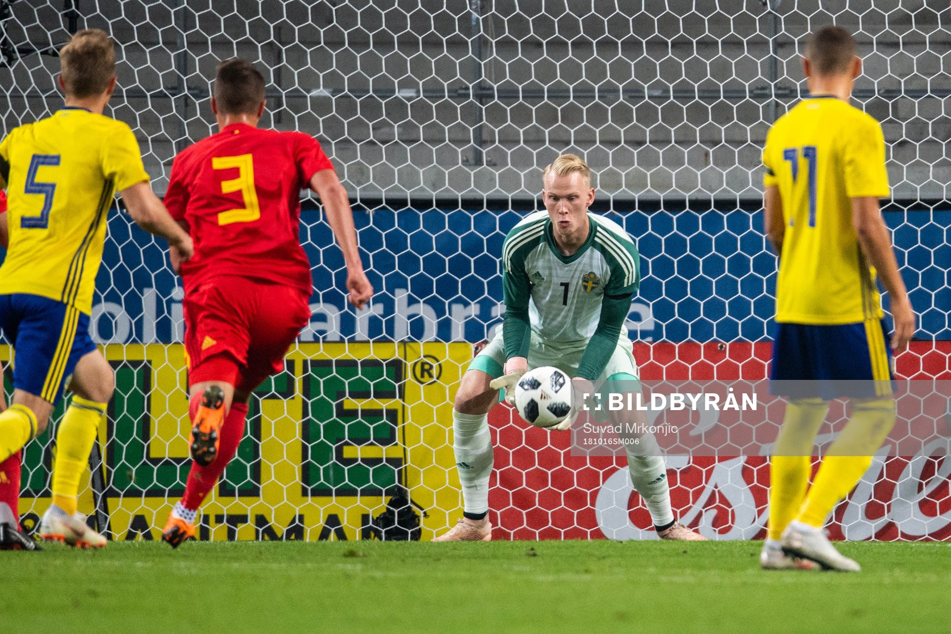 Goalkeeper Pontus Dahlberg of Sweden