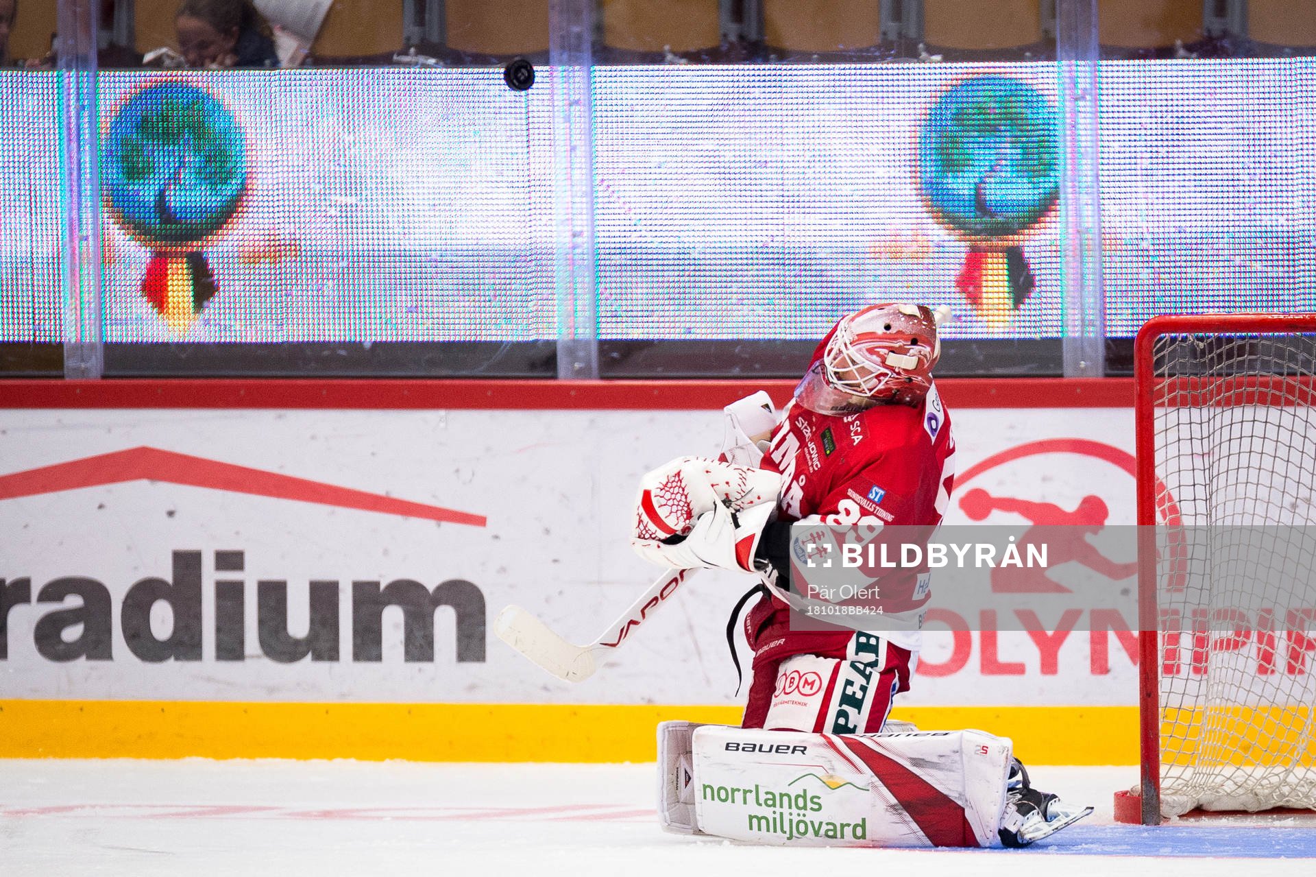Timrås målvakt Niklas Svedberg