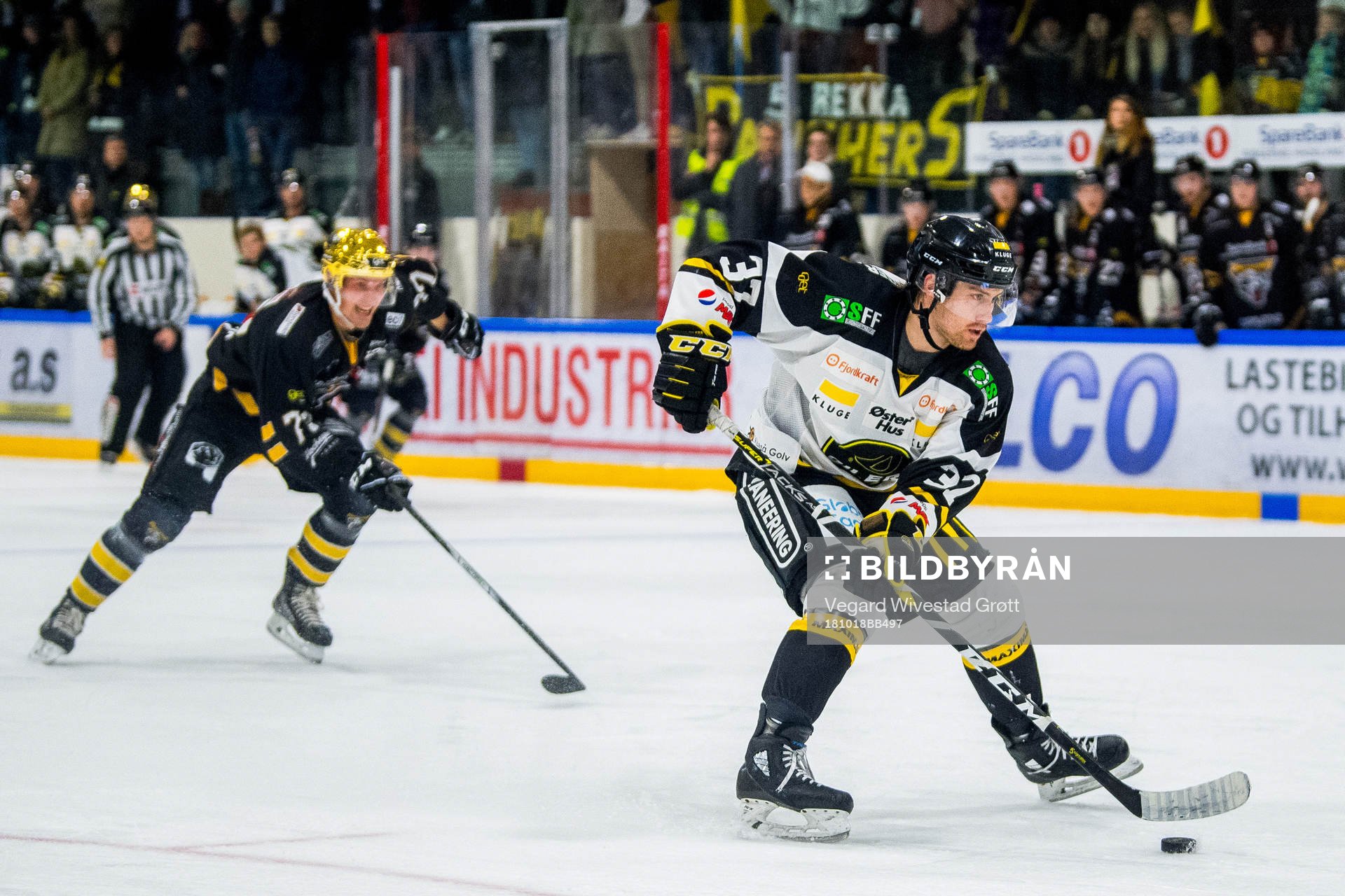 Stephan Joseph Vigier of Stavanger Oilers