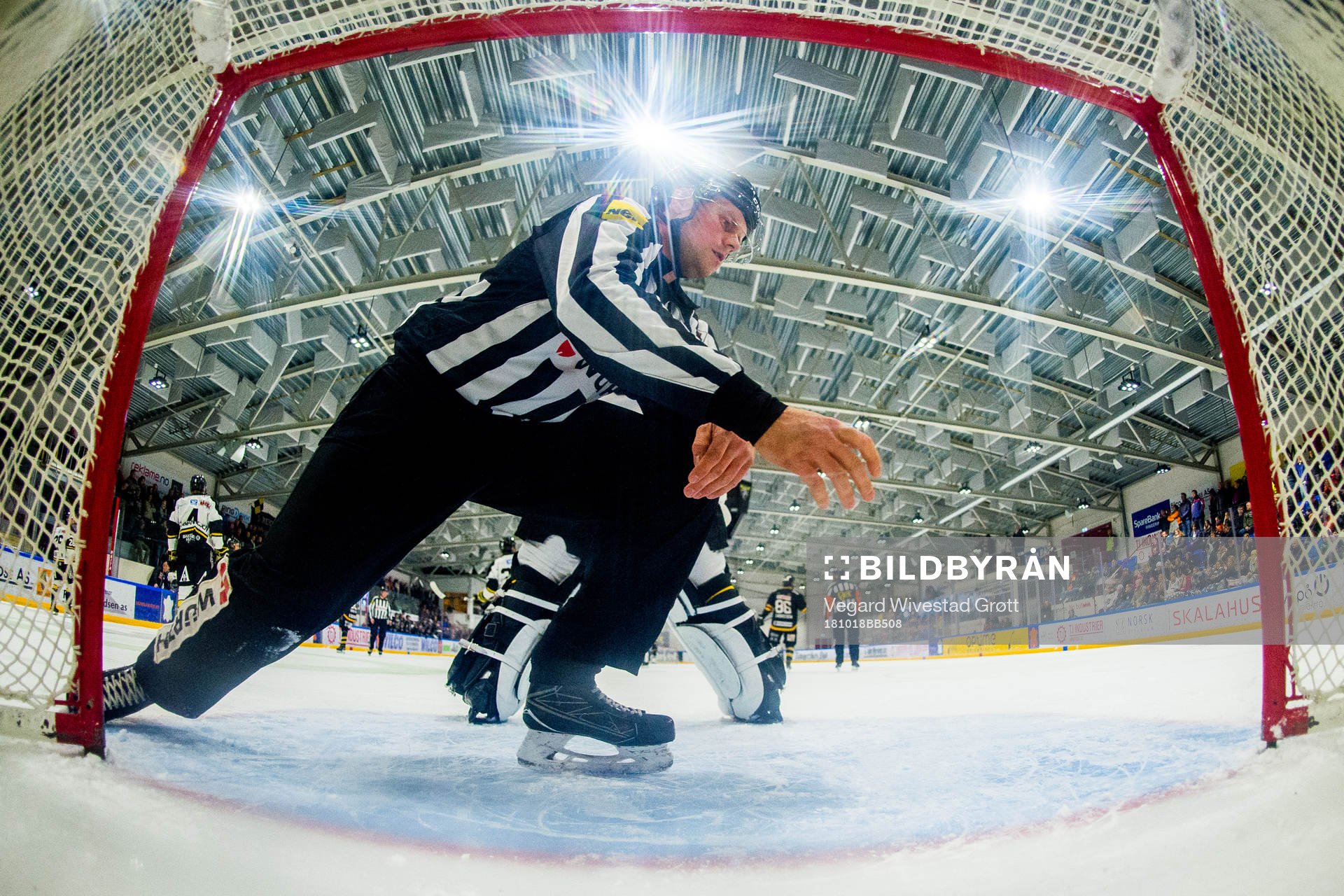 The referee