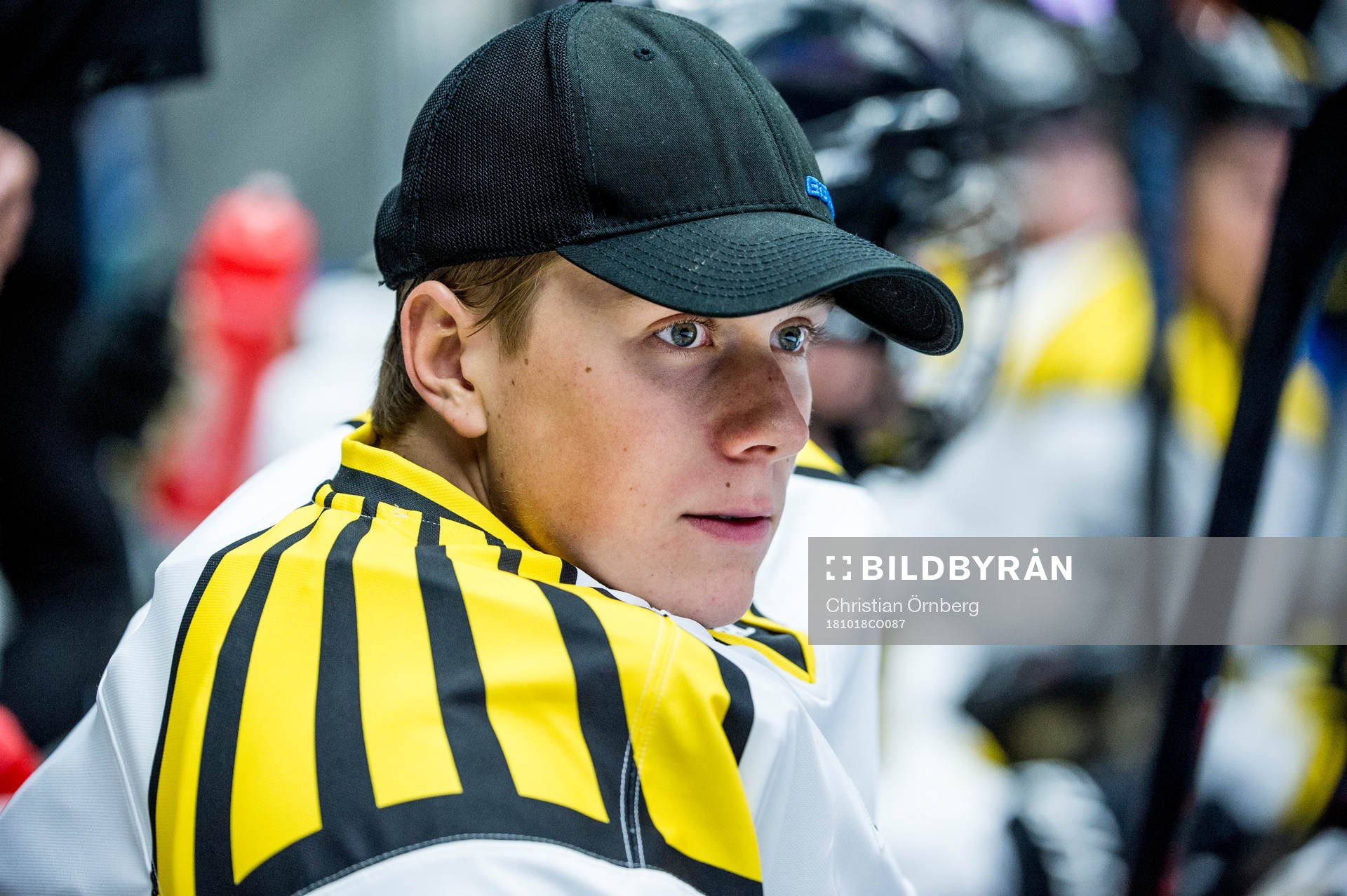 Brynäs målvakt Tobias Forsgren