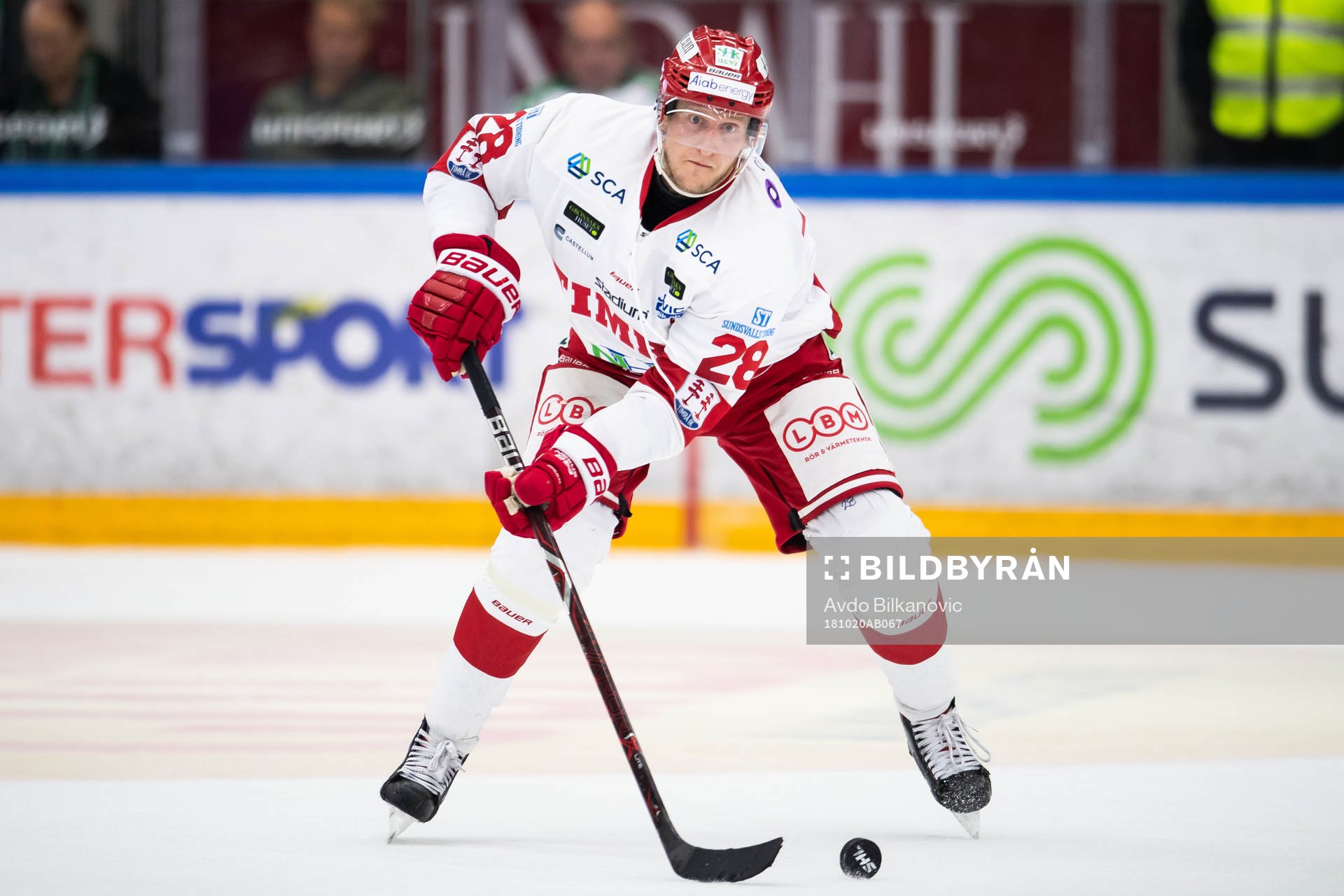 Timrås David Printz