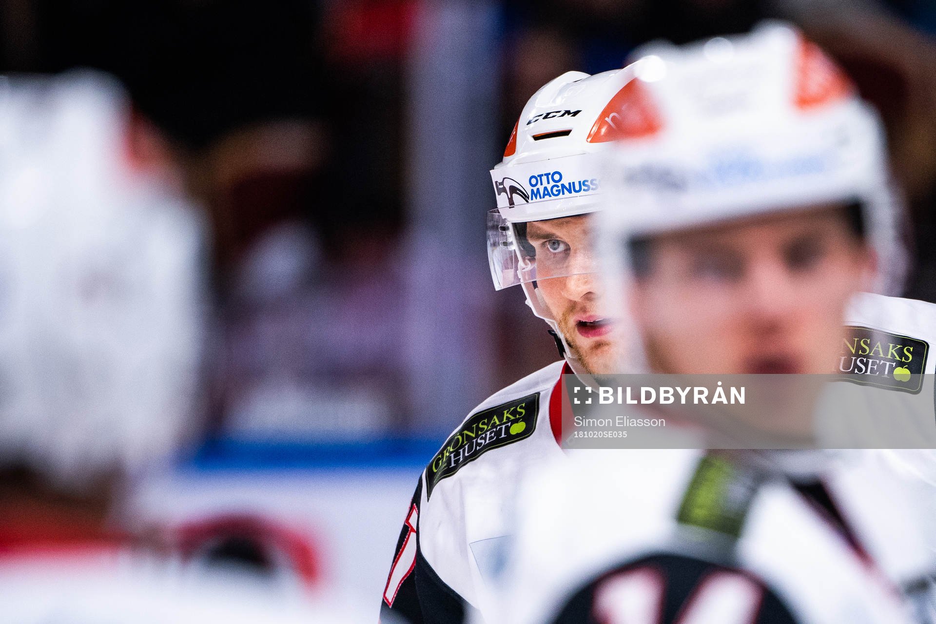 Malmö Redhawks Max Görtz