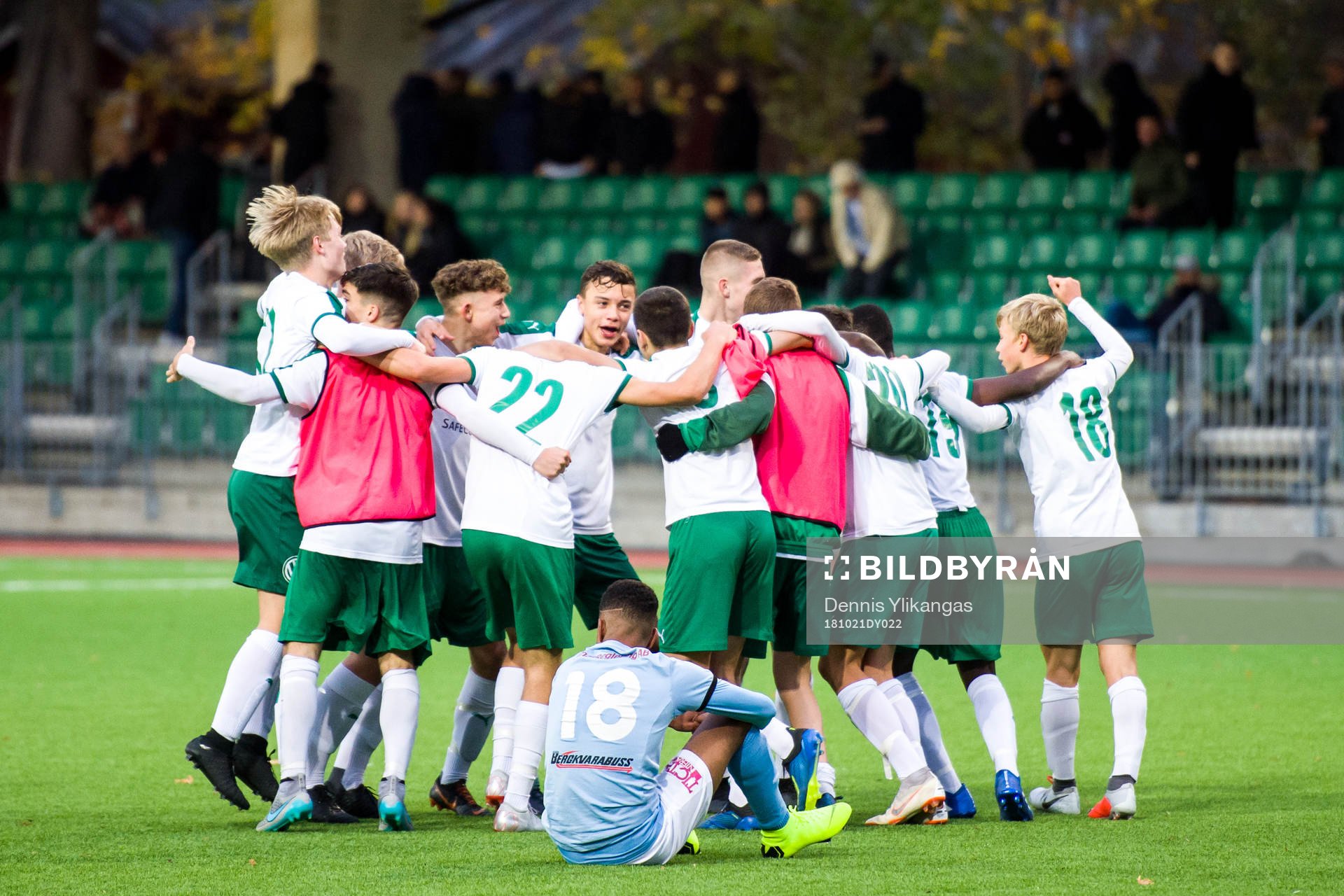 Hammarby jublar
