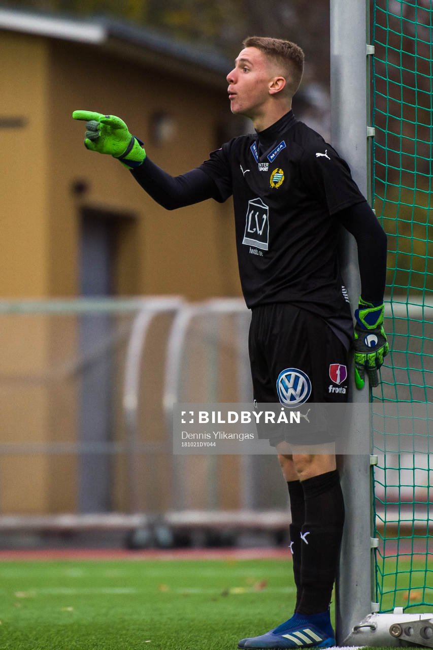 Hammarbys Amar Dzevlan