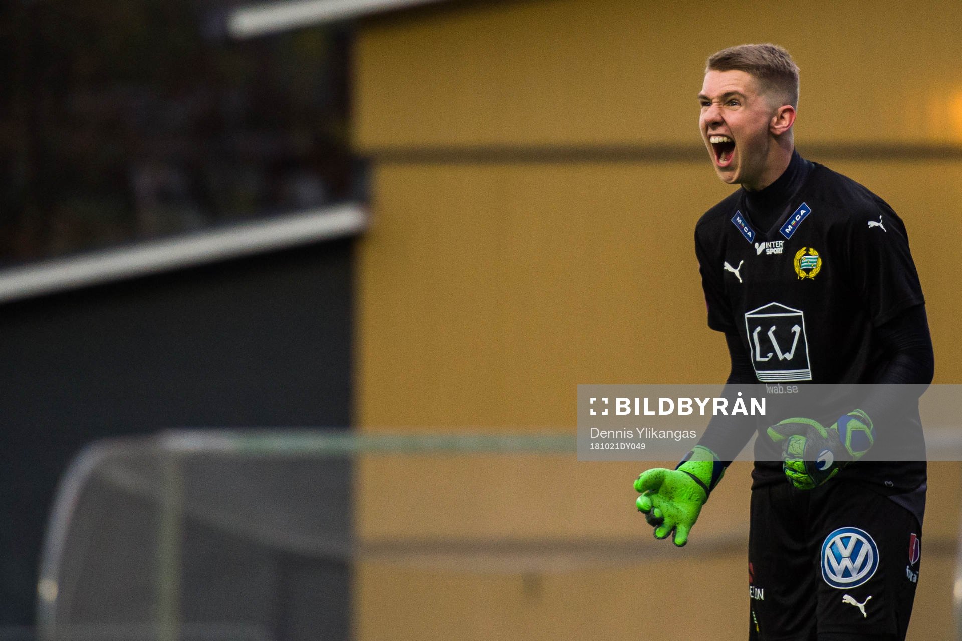 Hammarbys Amar Dzevlan