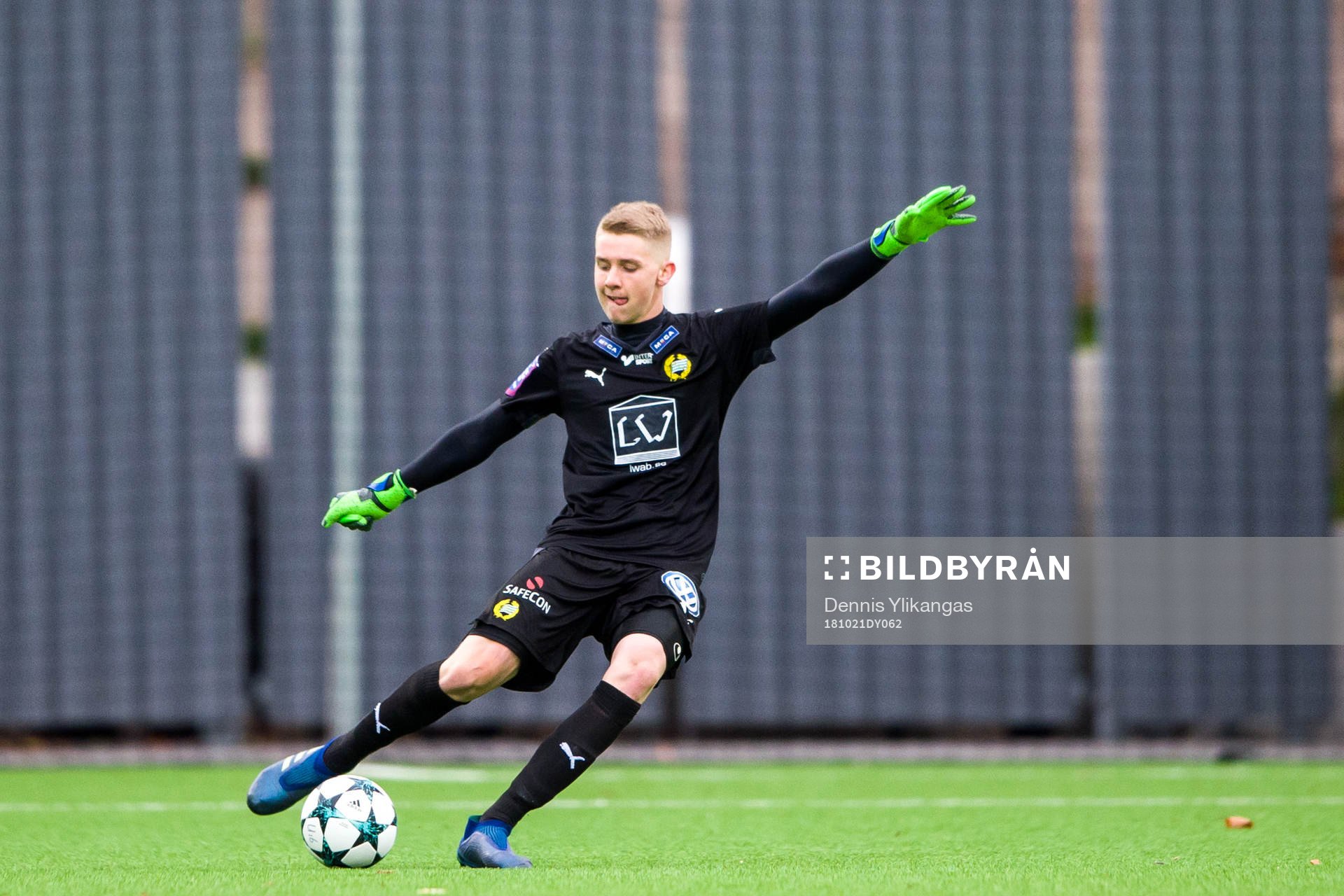 Hammarbys Amar Dzevlan
