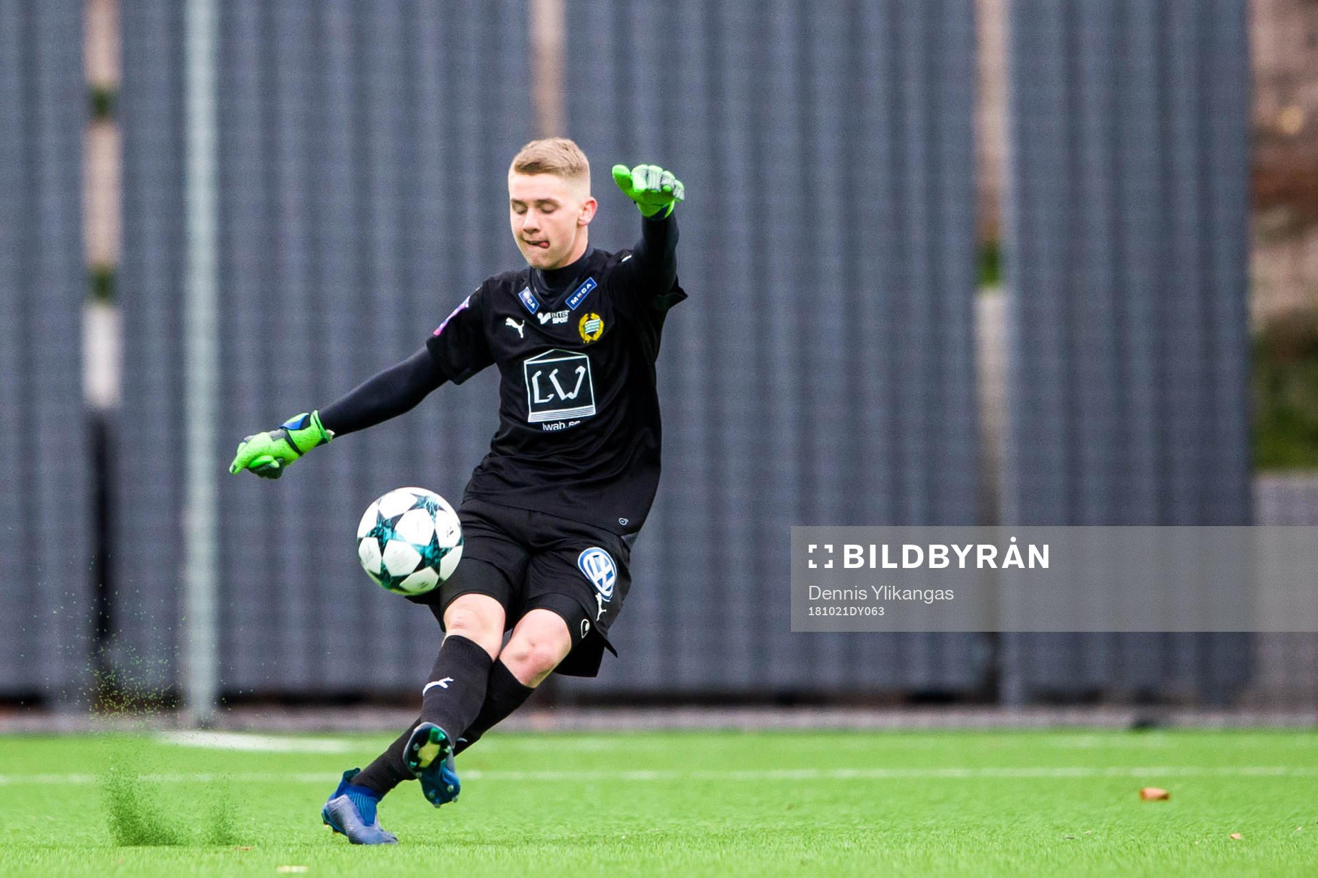 Hammarbys Amar Dzevlan