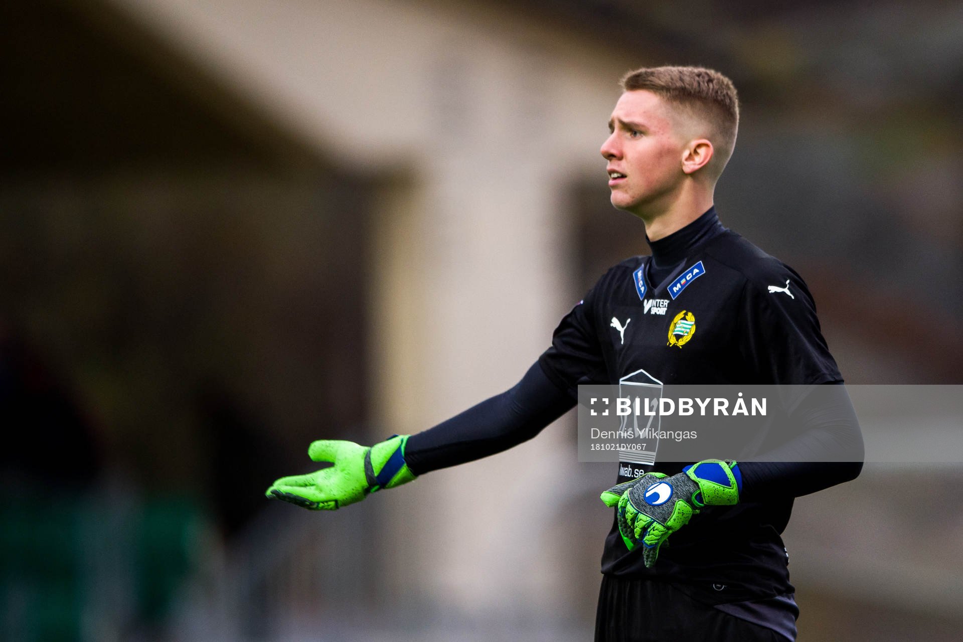 Hammarbys Amar Dzevlan