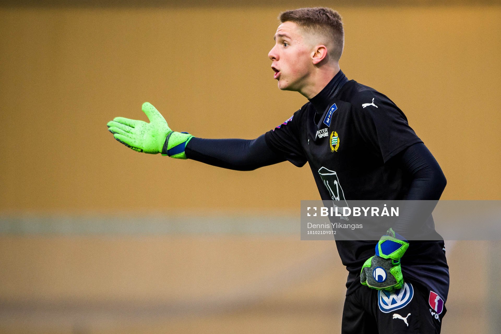 Hammarbys Amar Dzevlan