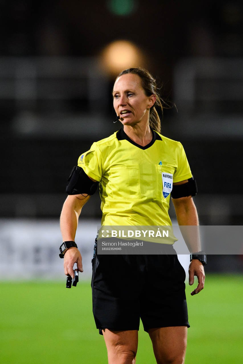 Domare Pernilla Larsson