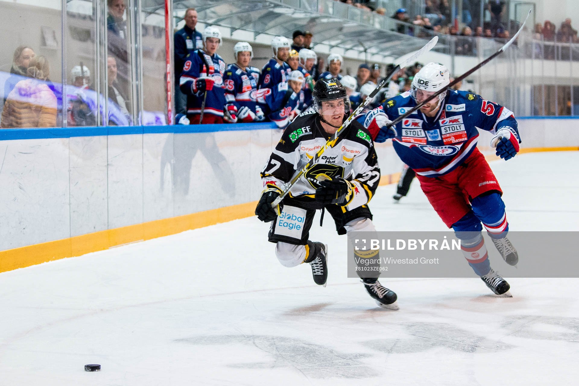 Stephan Joseph Vigier of Stavanger Oilers