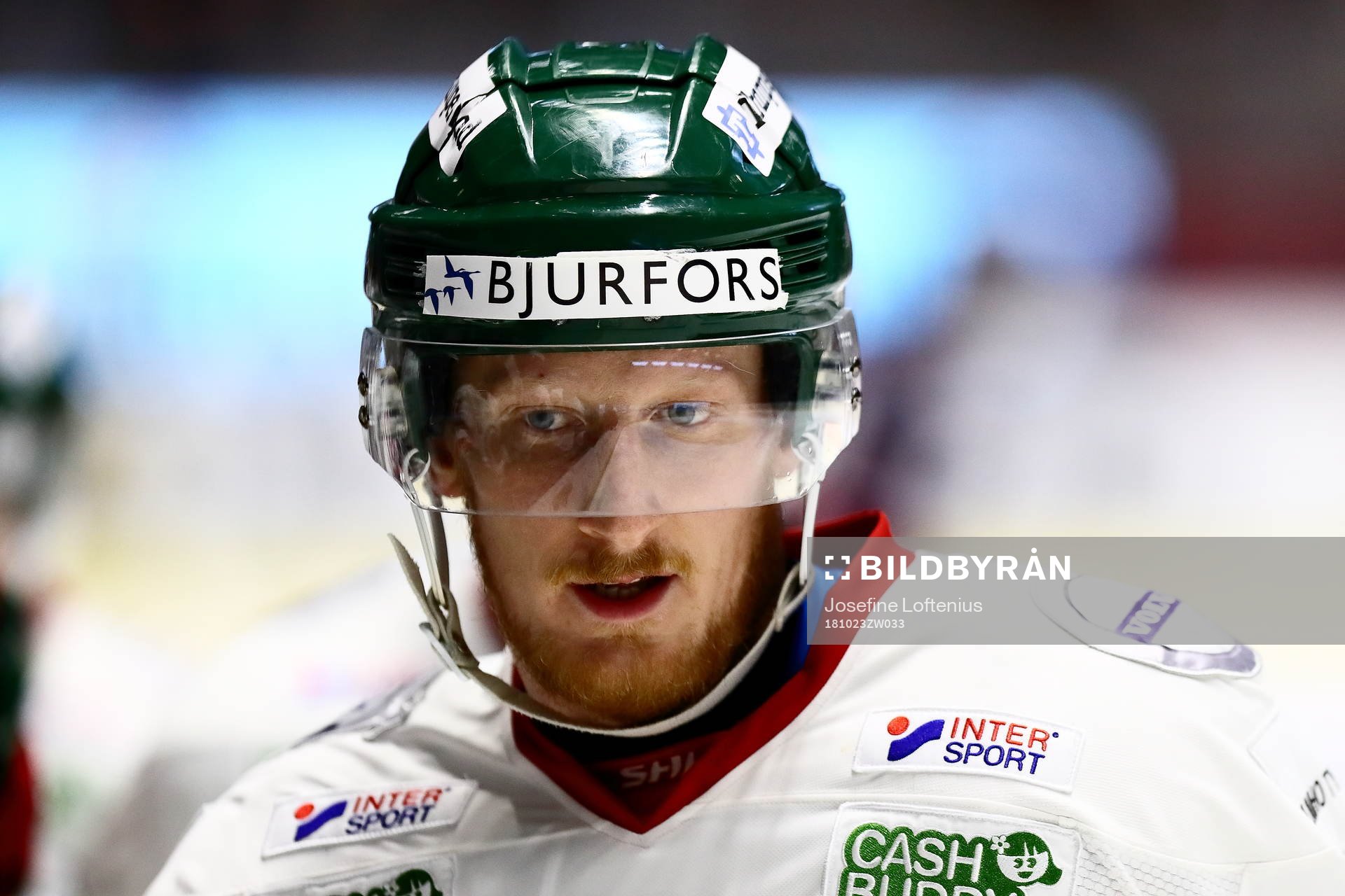 Simon Hjalmarsson jublar med sina lagkamrater i båset