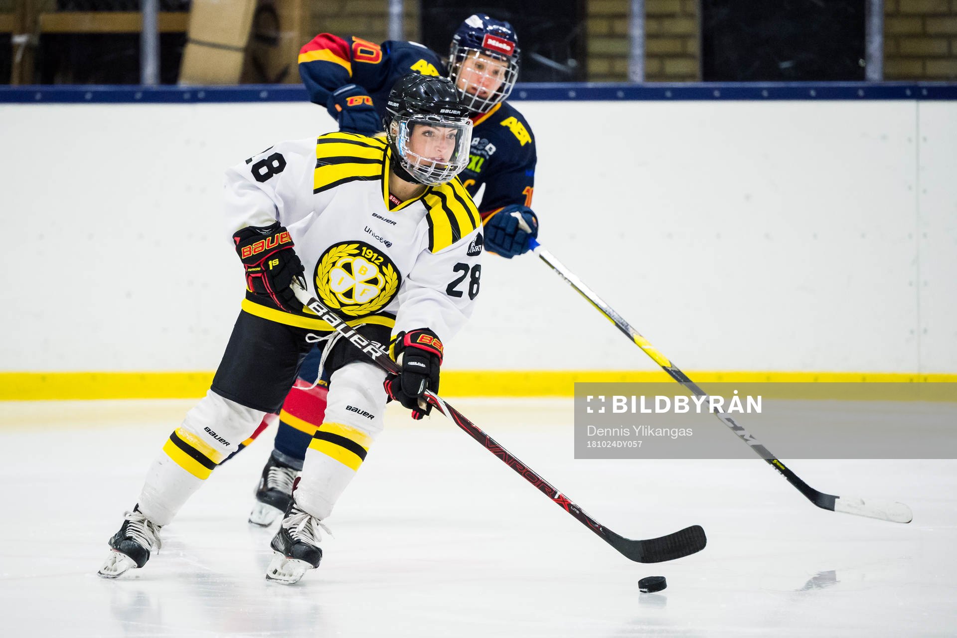 Brynäs Savannah Newton